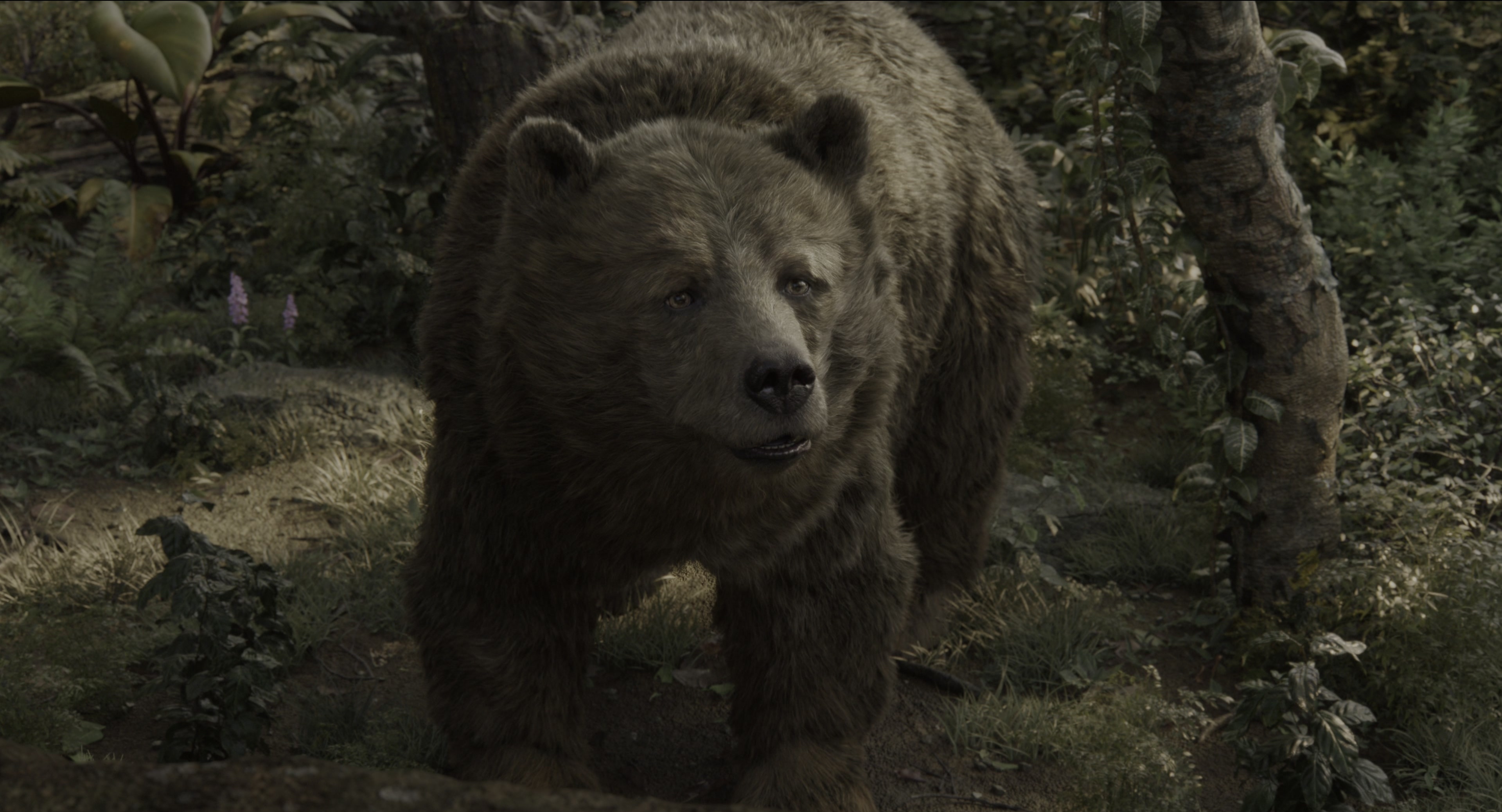 The Jungle Book (2016), wide, 1.85:1 — film still