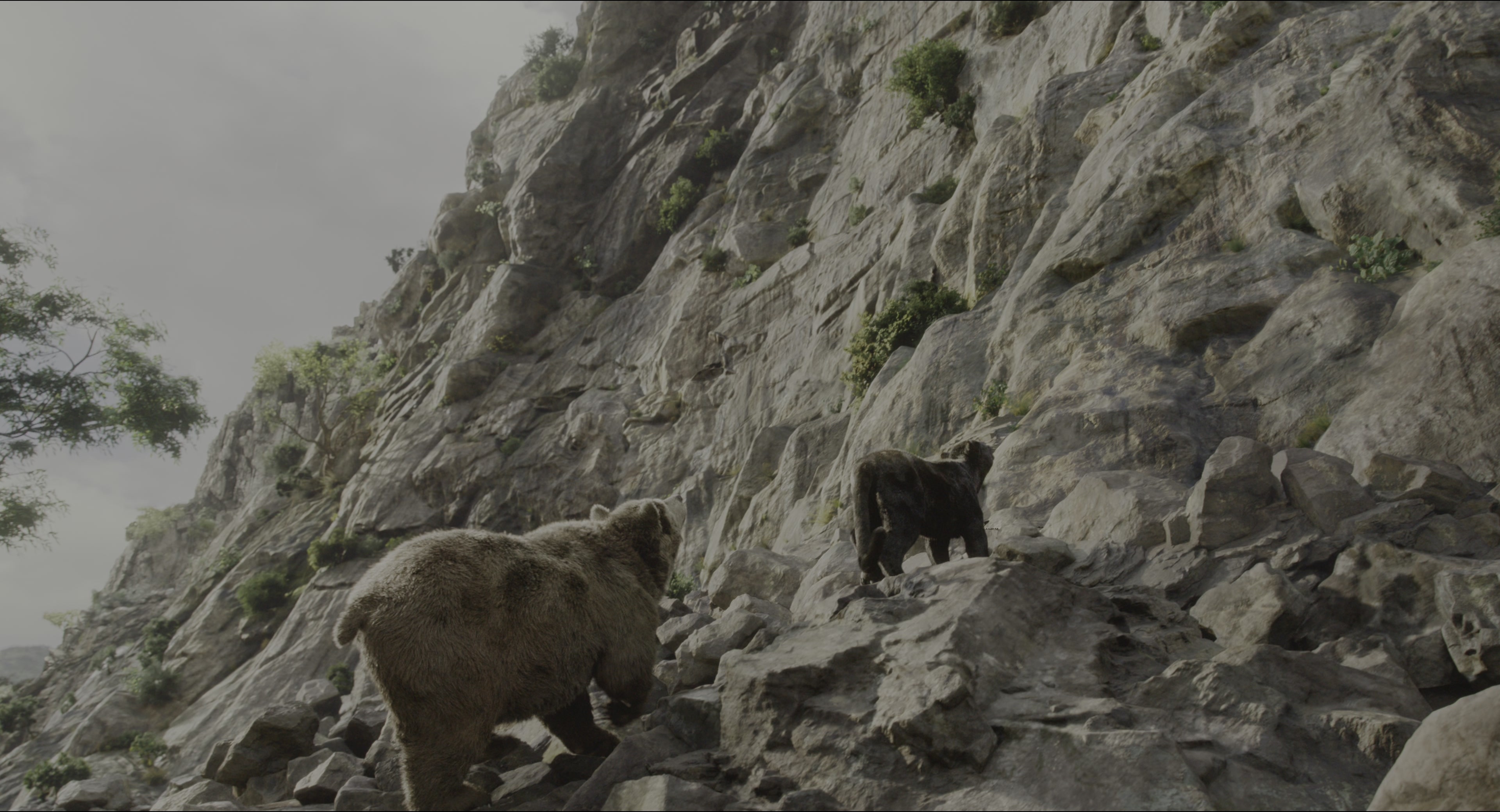 The Jungle Book (2016), wide, 1.85:1 — film still