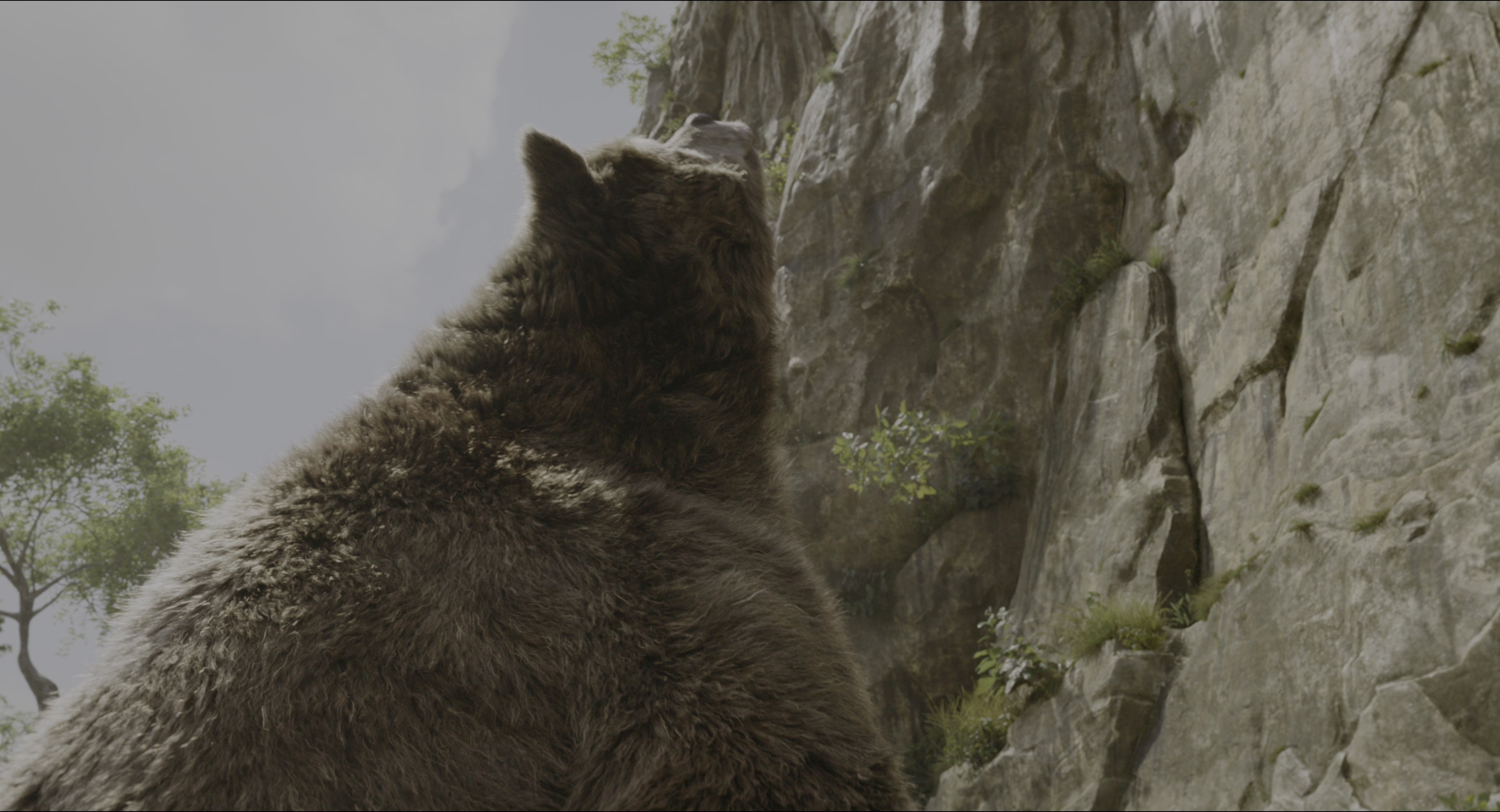 The Jungle Book (2016), wide, 1.85:1 — film still