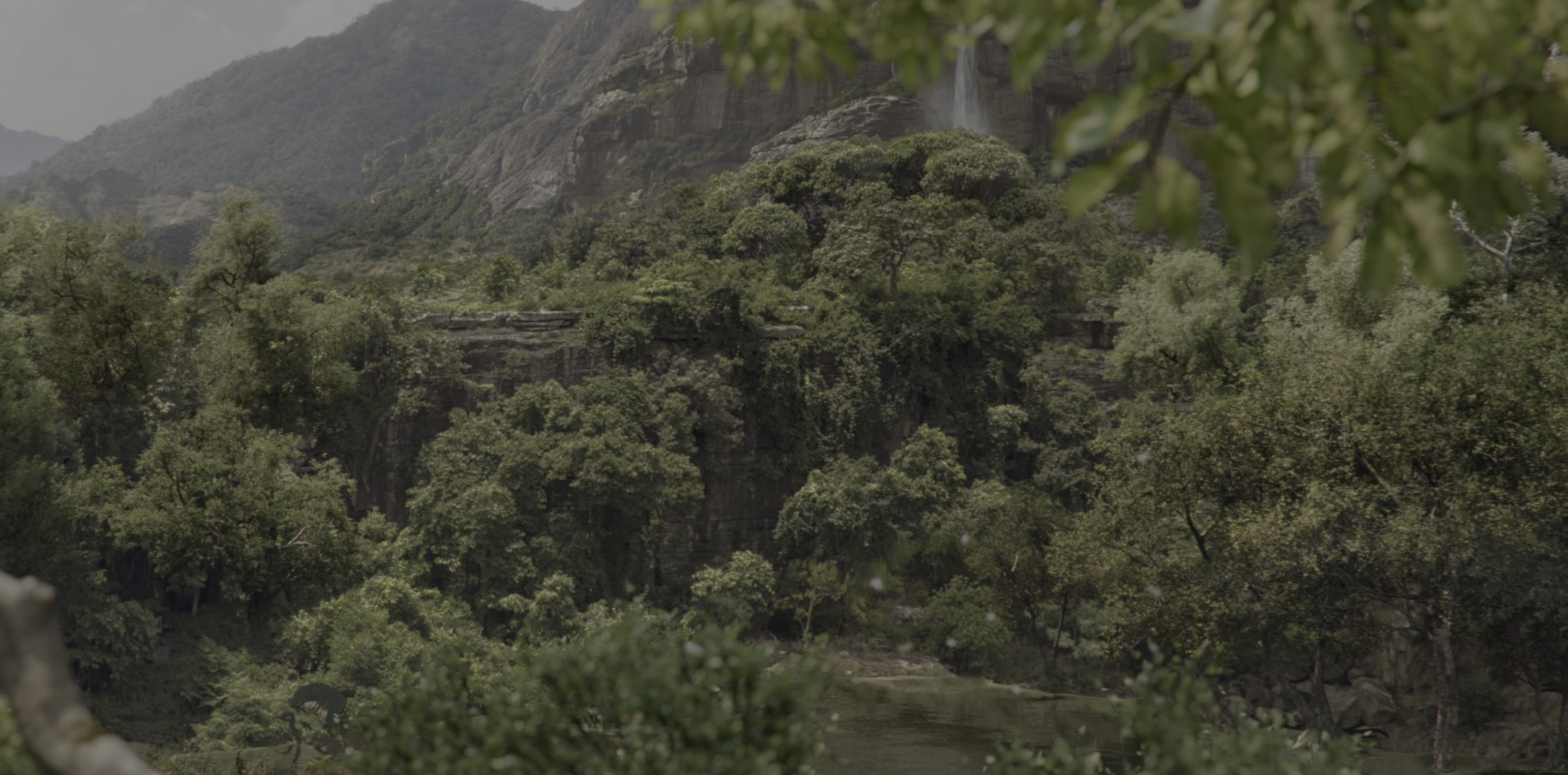 The Jungle Book (2016), wide, 2.02:1 — film still