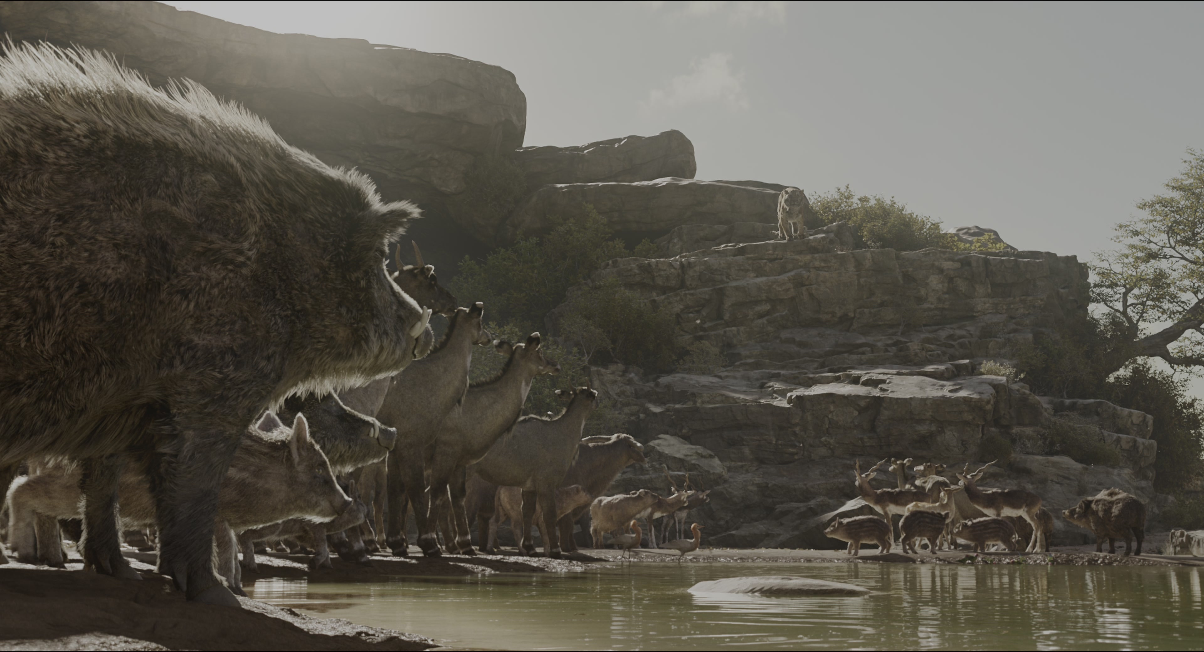The Jungle Book (2016), wide, 1.85:1 — film still