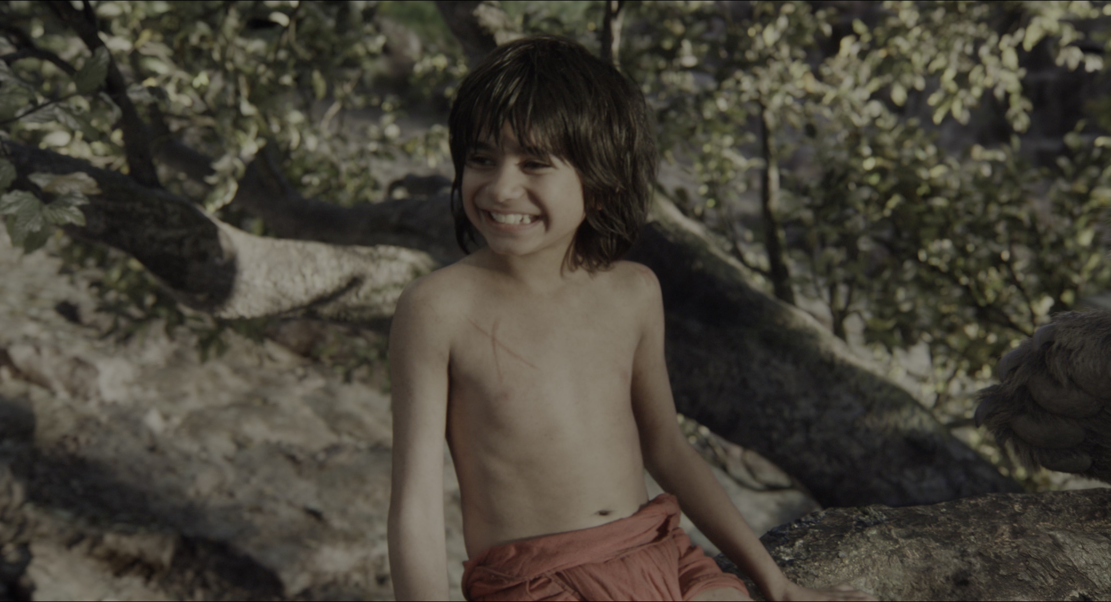 The Jungle Book (2016), wide, 1.85:1 — film still