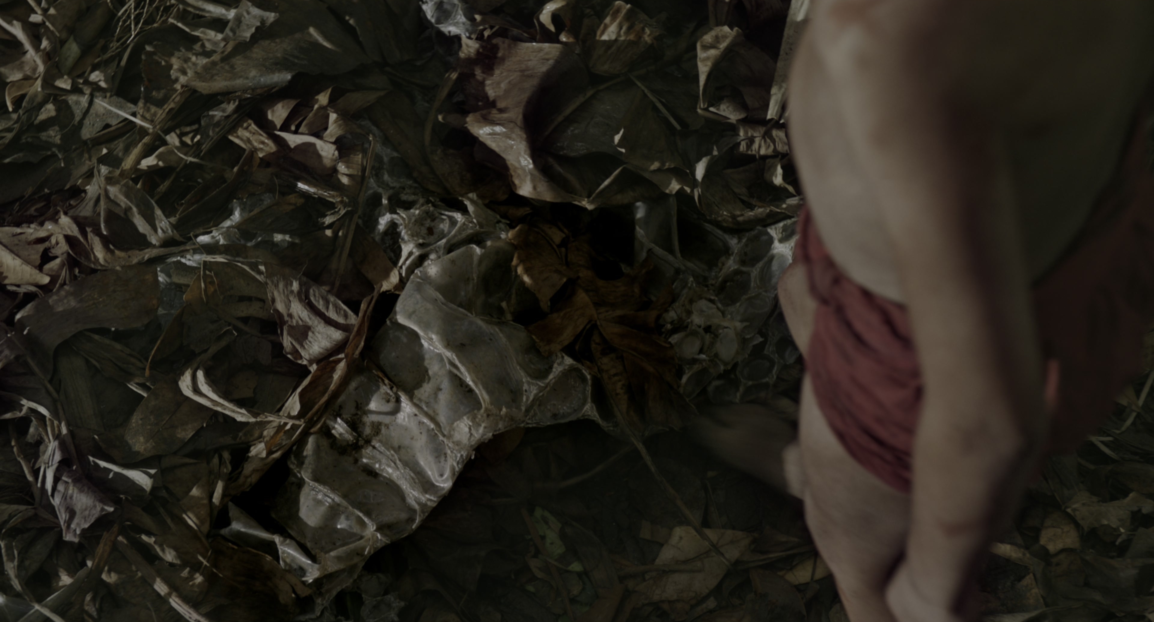 The Jungle Book (2016), wide, 1.85:1 — film still