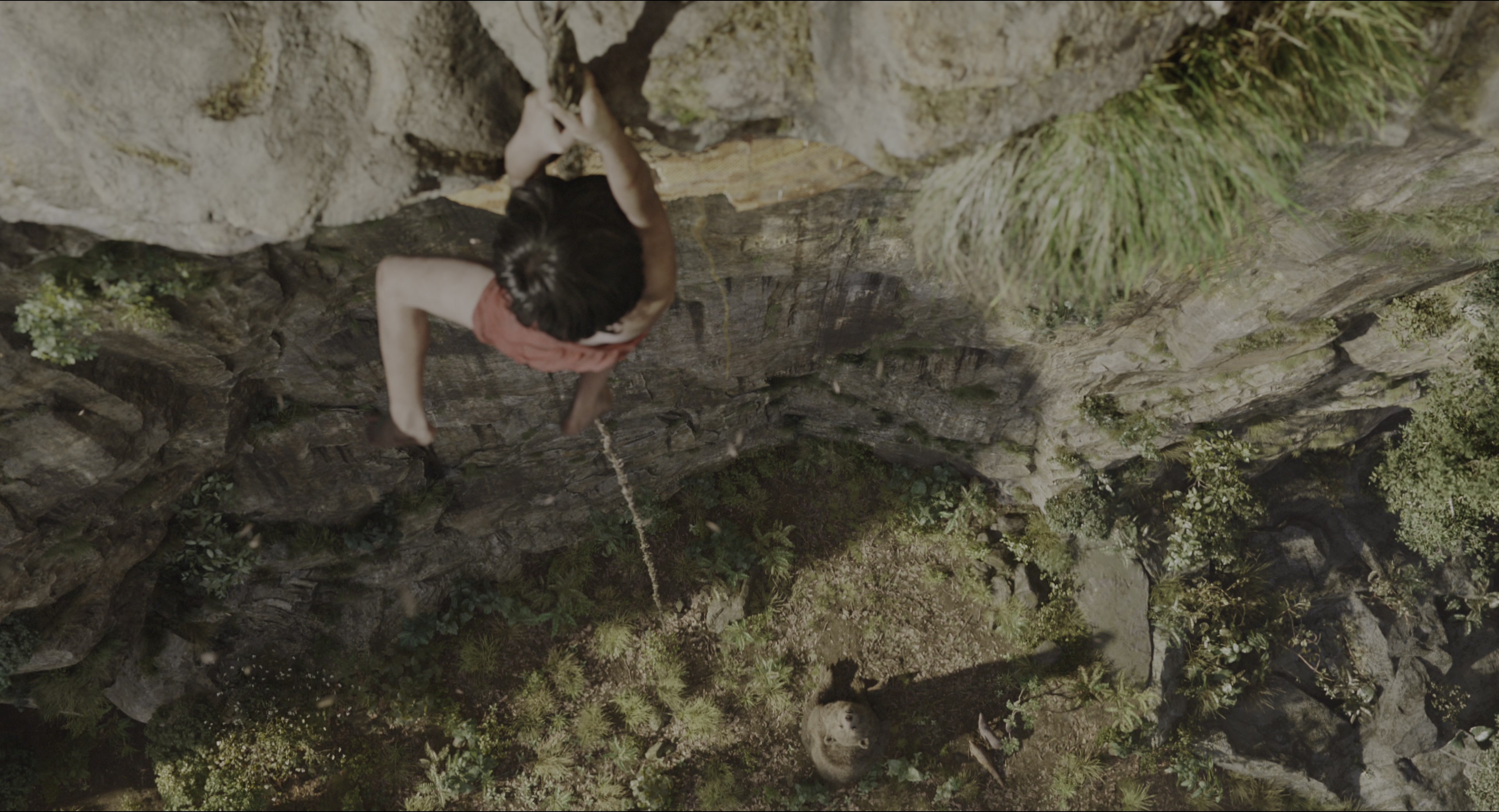 The Jungle Book (2016), wide, 1.85:1 — film still