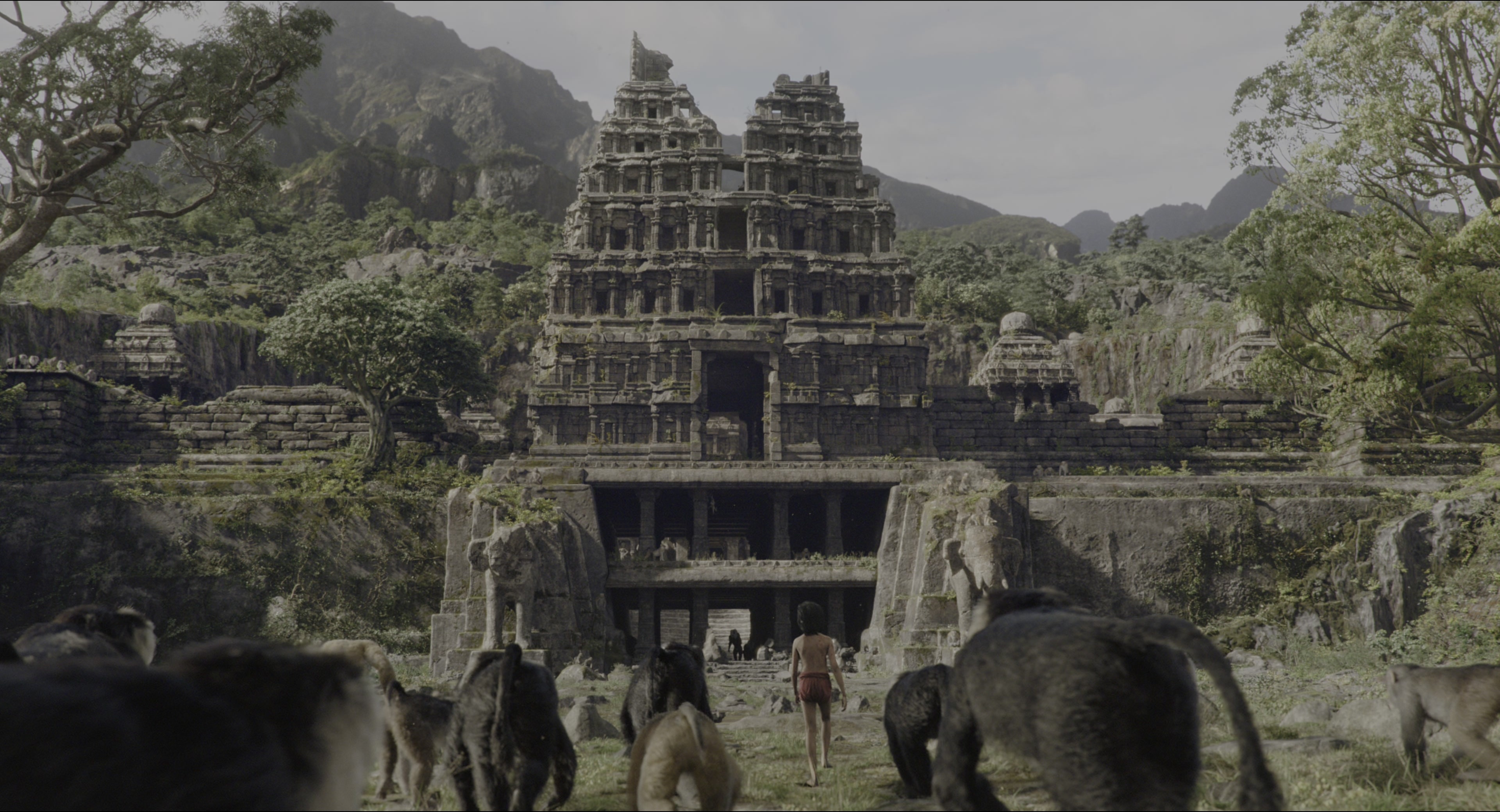 The Jungle Book (2016), wide, 1.85:1 — film still