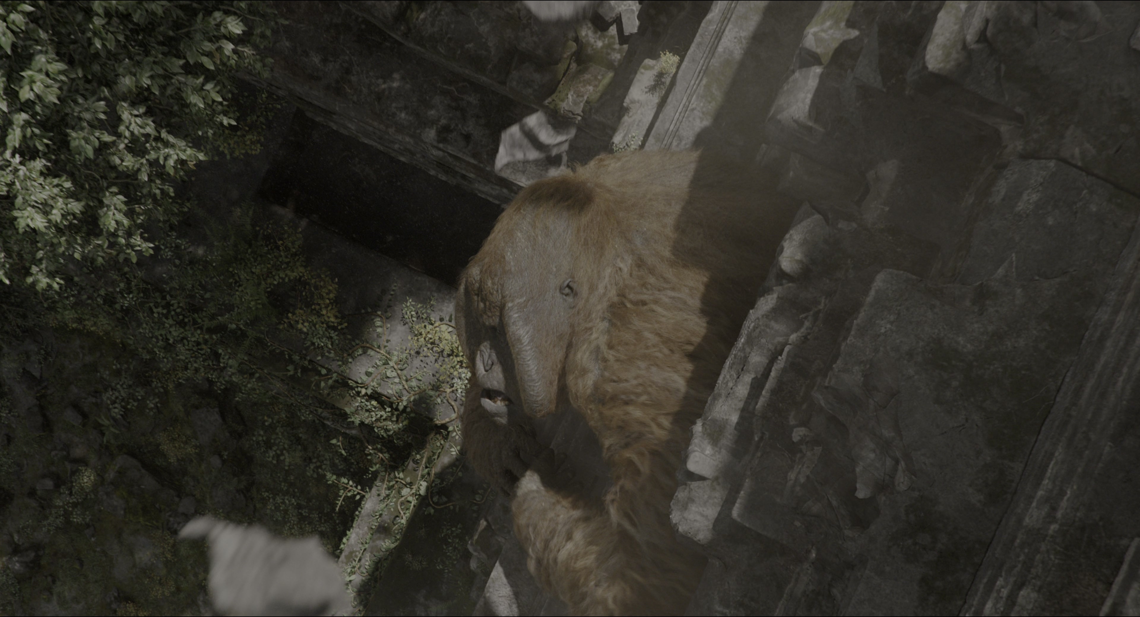 The Jungle Book (2016), wide, 1.85:1 — film still