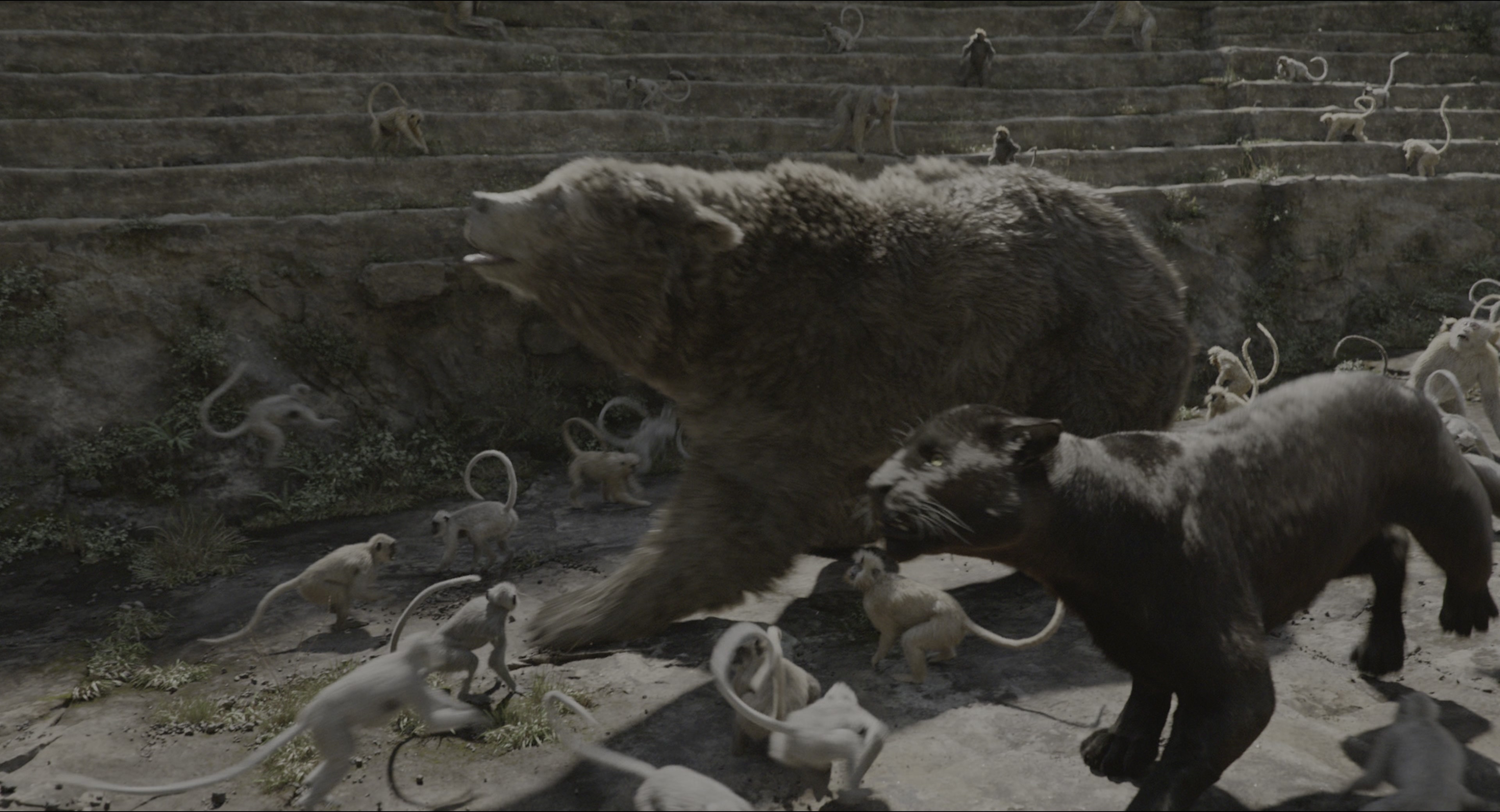 The Jungle Book (2016), wide, 1.85:1 — film still