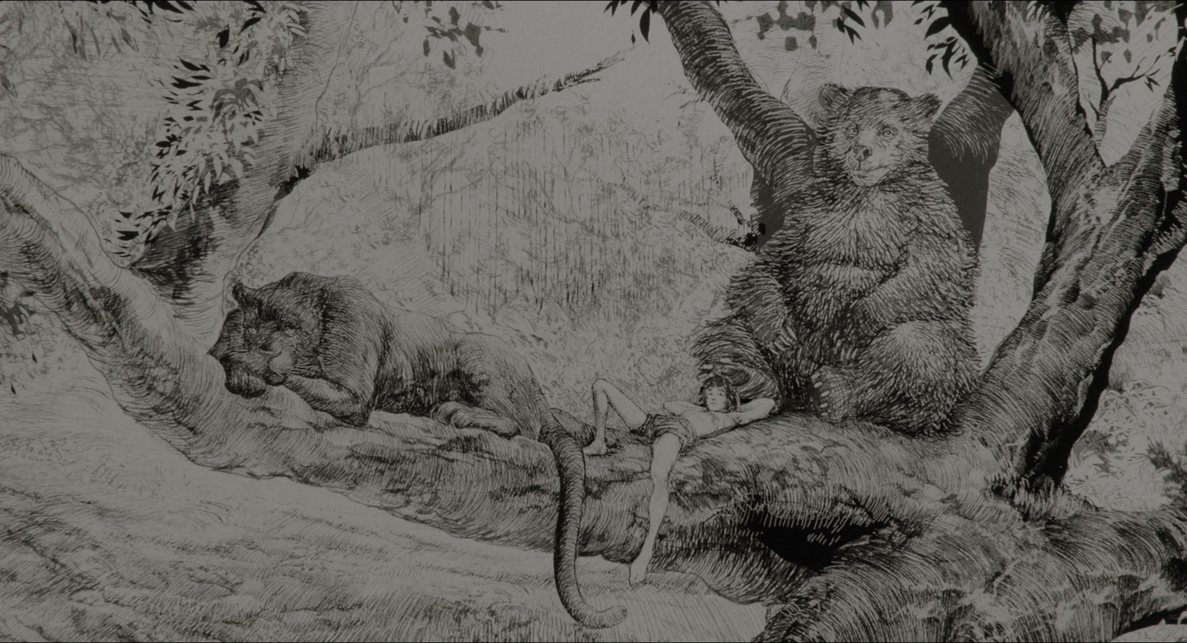The Jungle Book (2016), wide, 1.85:1 — film still