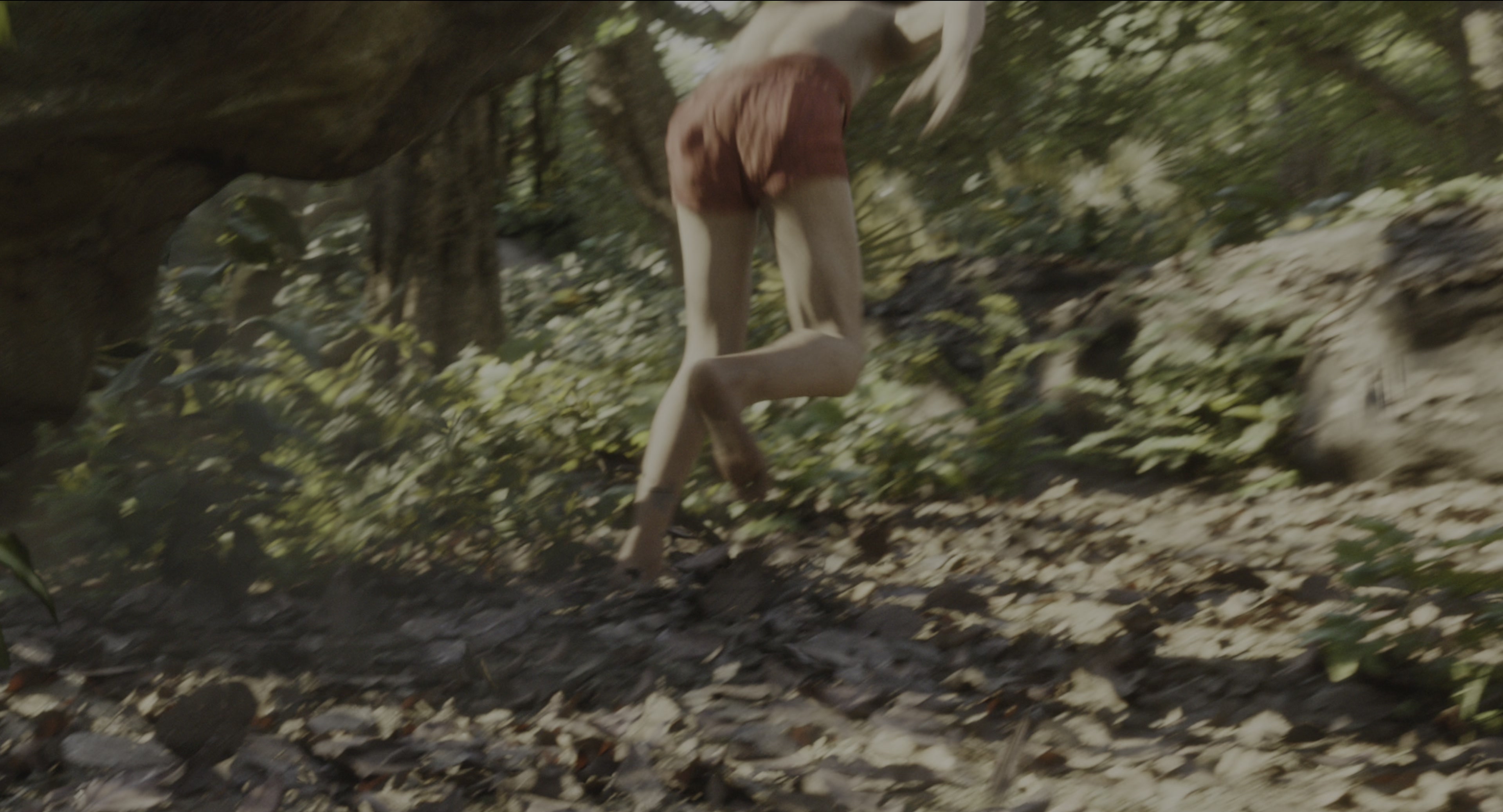 The Jungle Book (2016), wide, 1.85:1 — film still