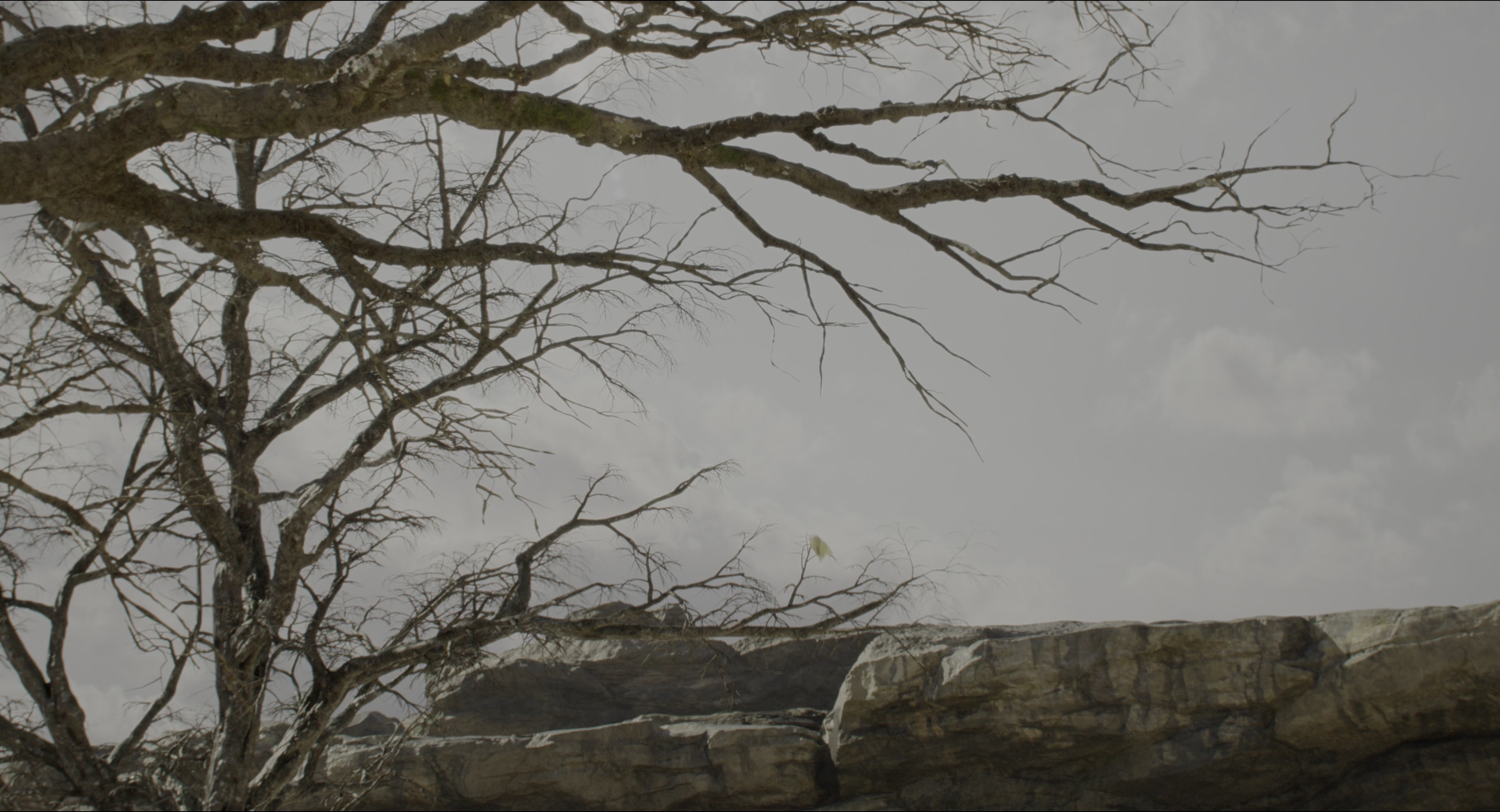The Jungle Book (2016), wide, 1.85:1 — film still