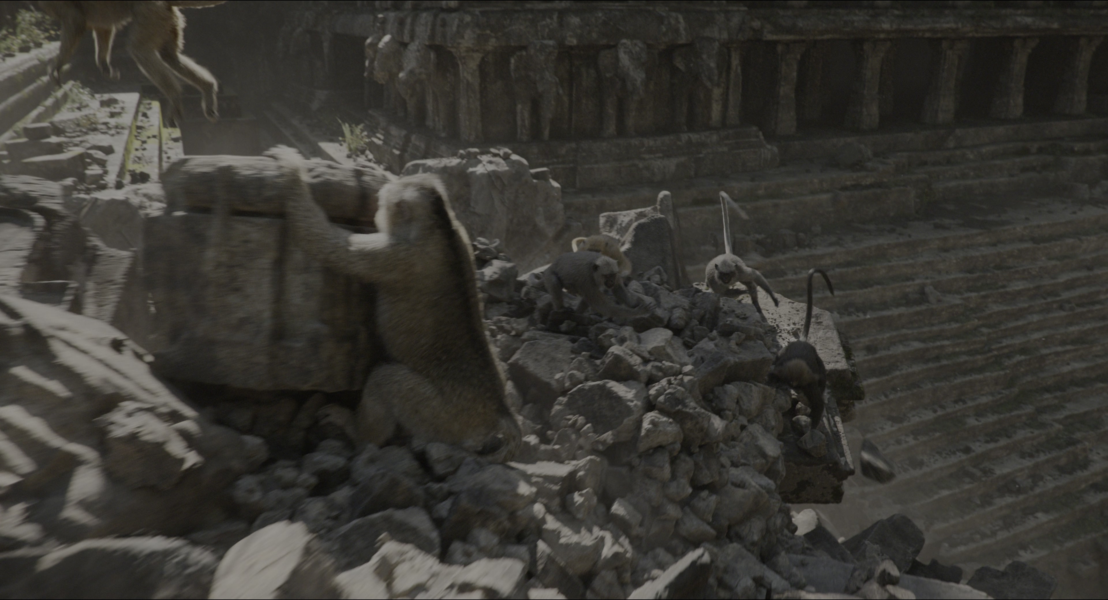 The Jungle Book (2016), wide, 1.85:1 — film still