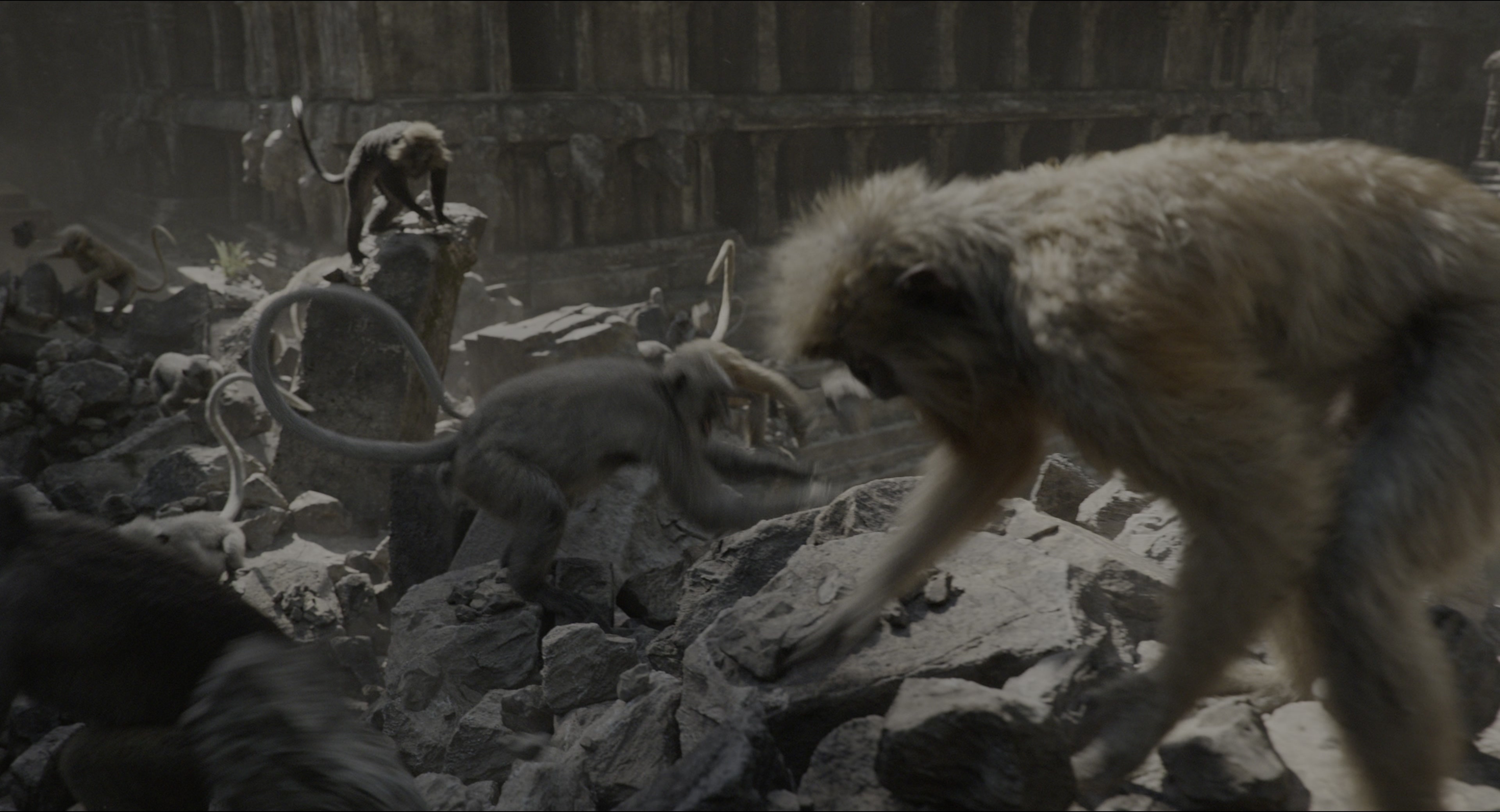The Jungle Book (2016), wide, 1.85:1 — film still