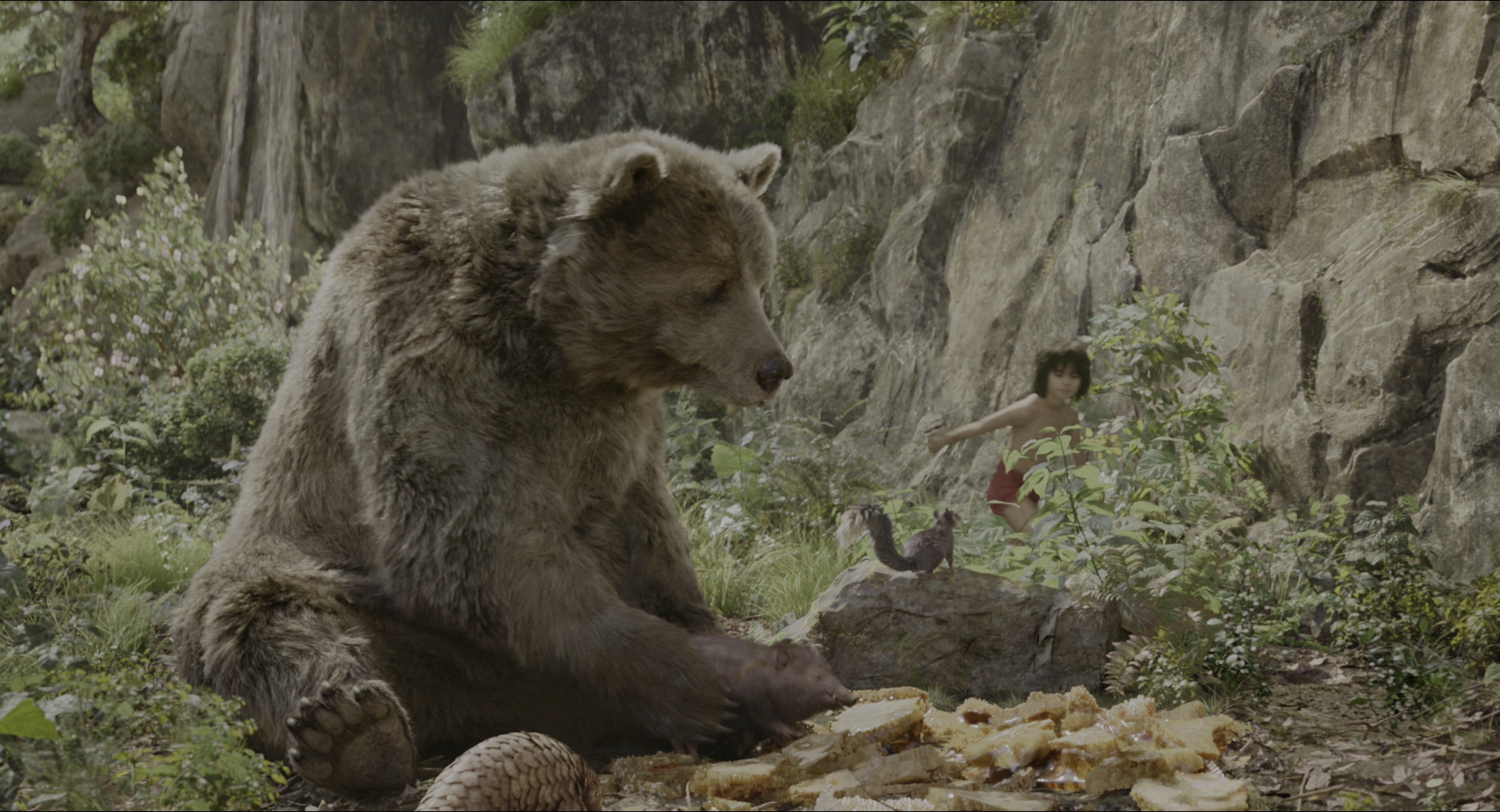 The Jungle Book (2016), wide, 1.85:1 — film still
