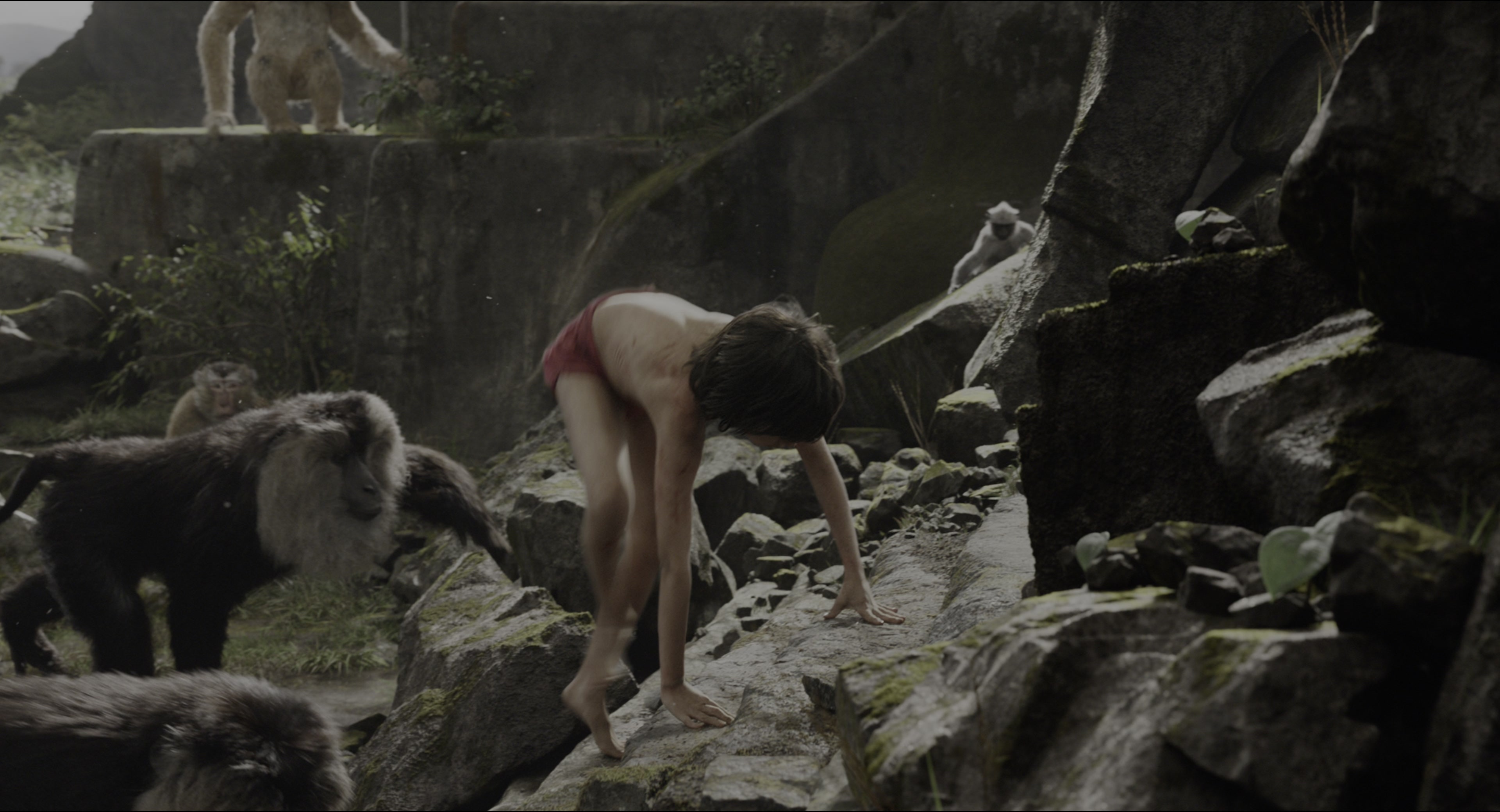 The Jungle Book (2016), wide, 1.85:1 — film still