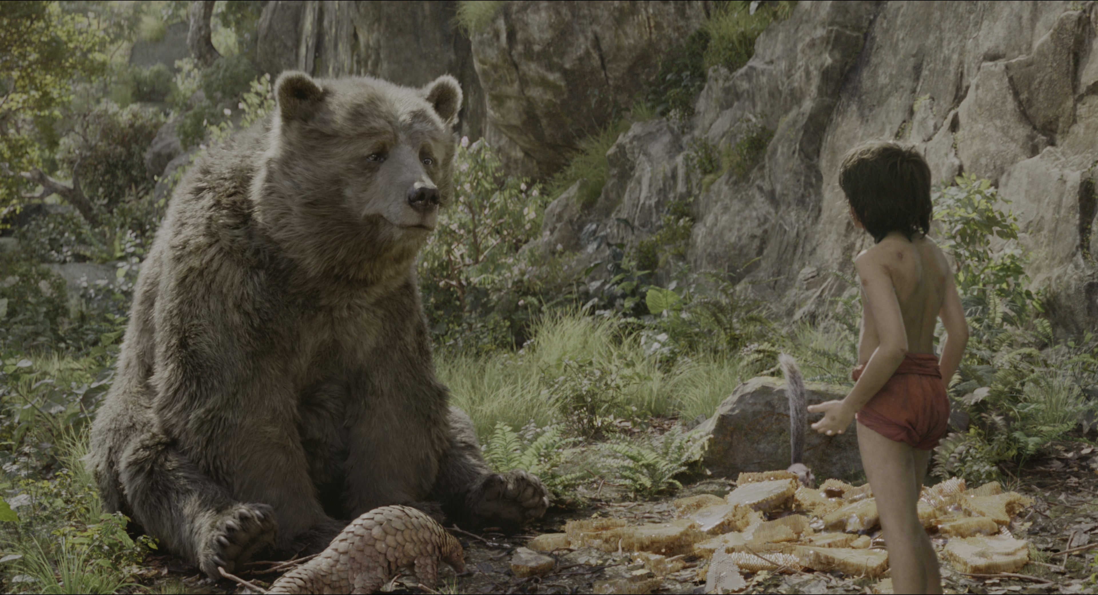 The Jungle Book (2016), wide, 1.85:1 — film still