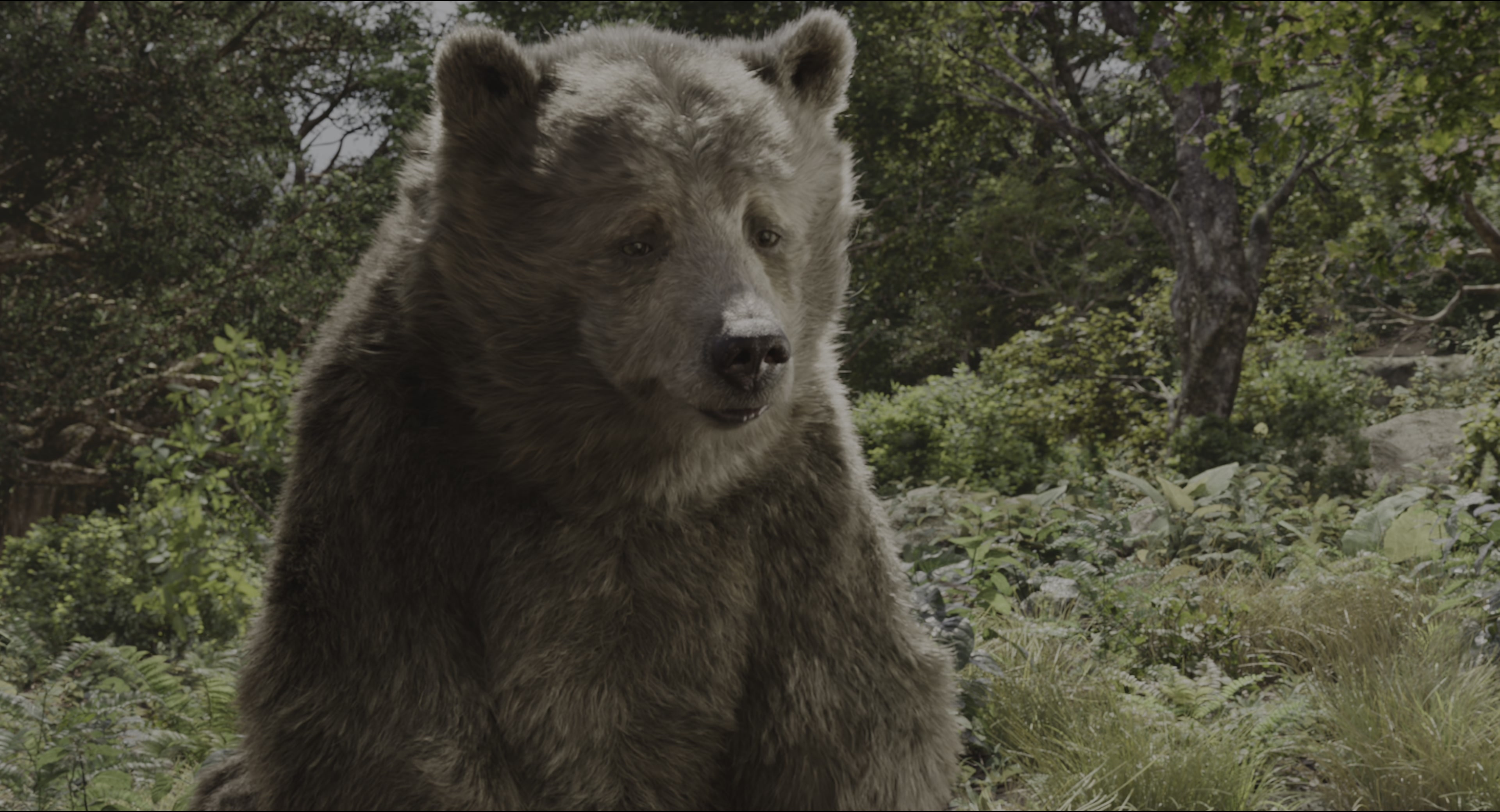 The Jungle Book (2016), wide, 1.85:1 — film still
