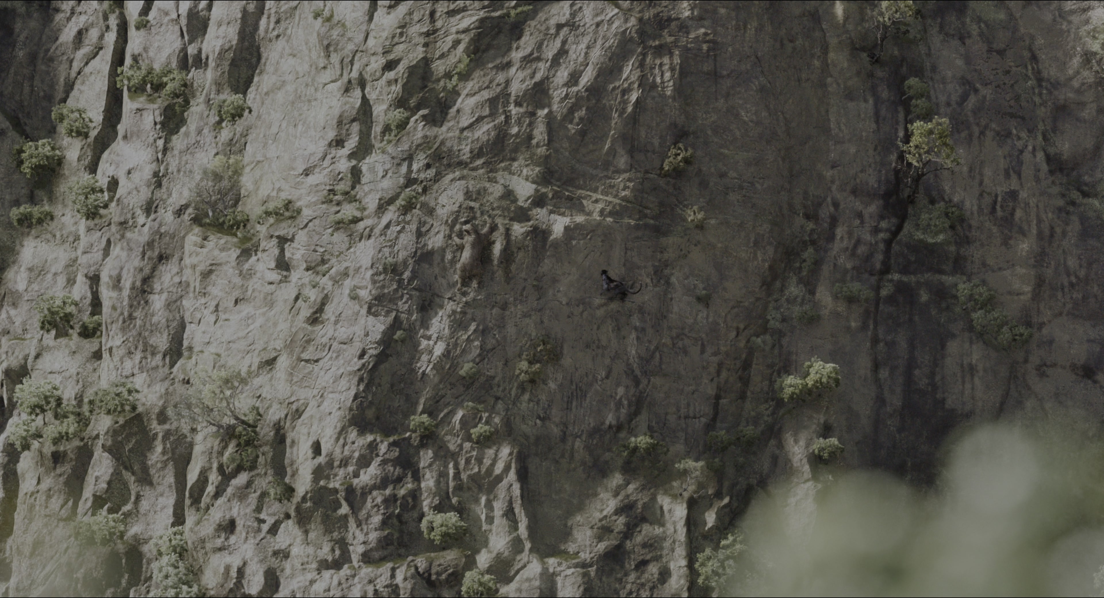 The Jungle Book (2016), wide, 1.85:1 — film still