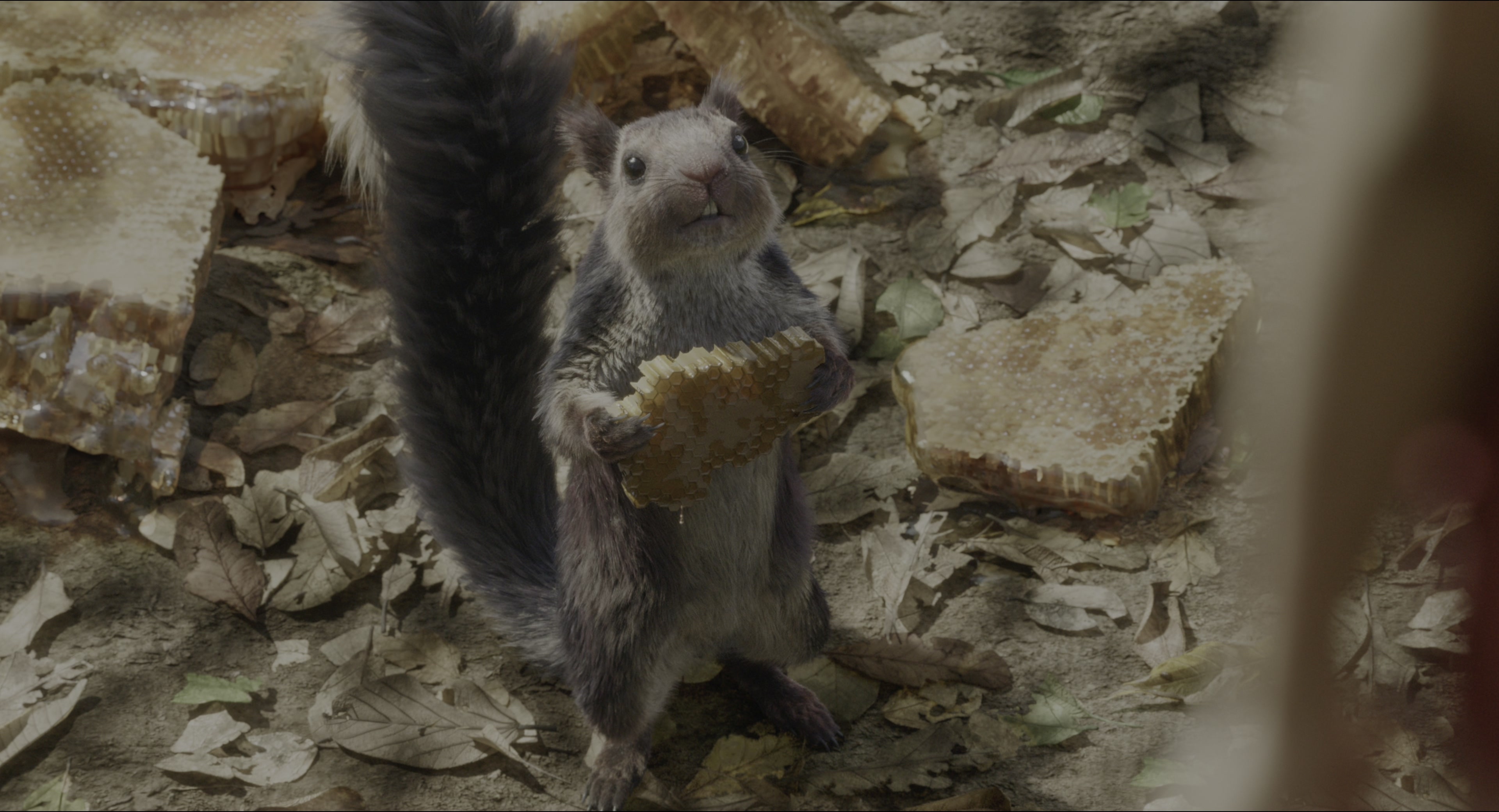 The Jungle Book (2016), wide, 1.85:1 — film still