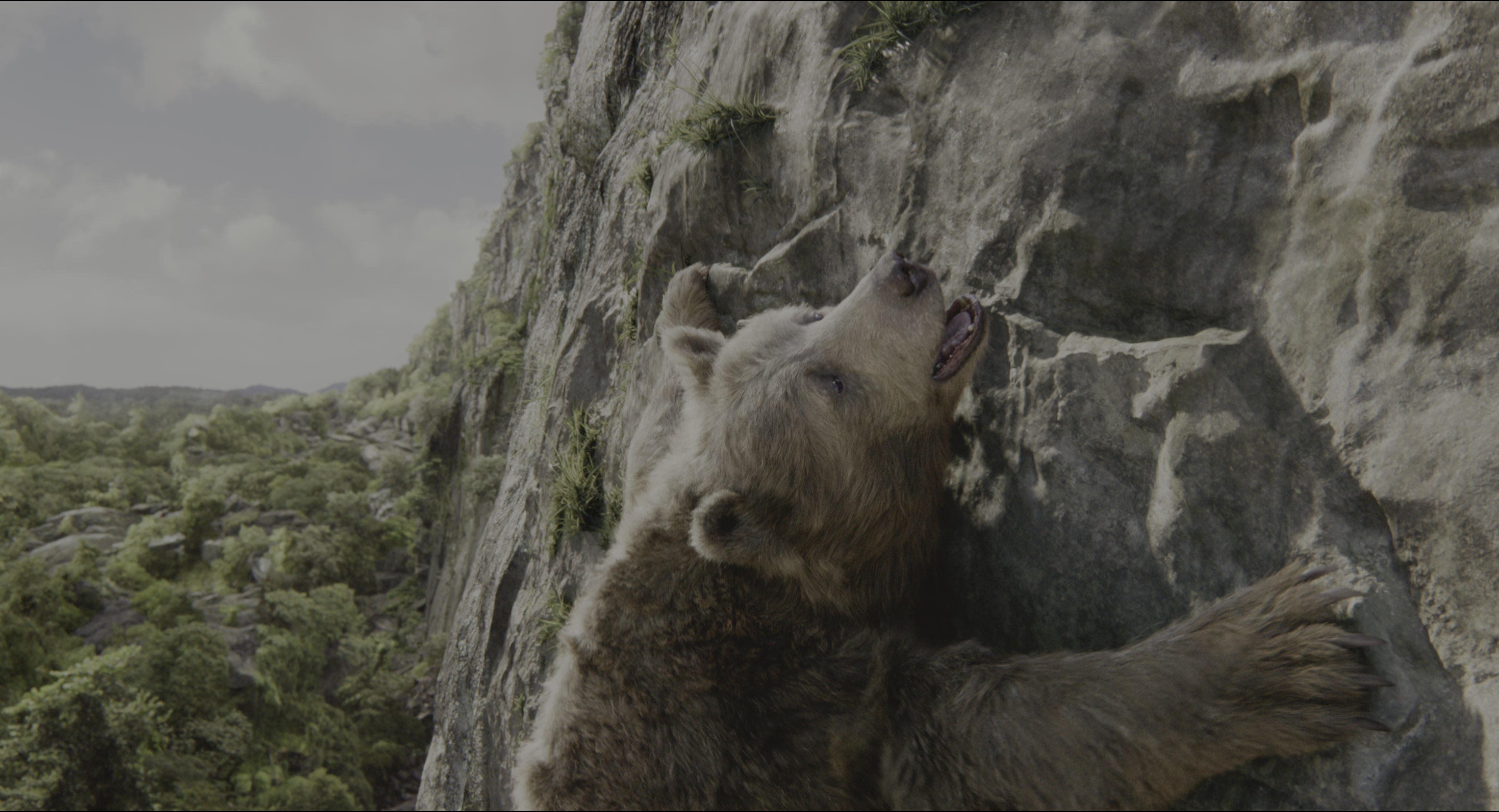 The Jungle Book (2016), wide, 1.85:1 — film still