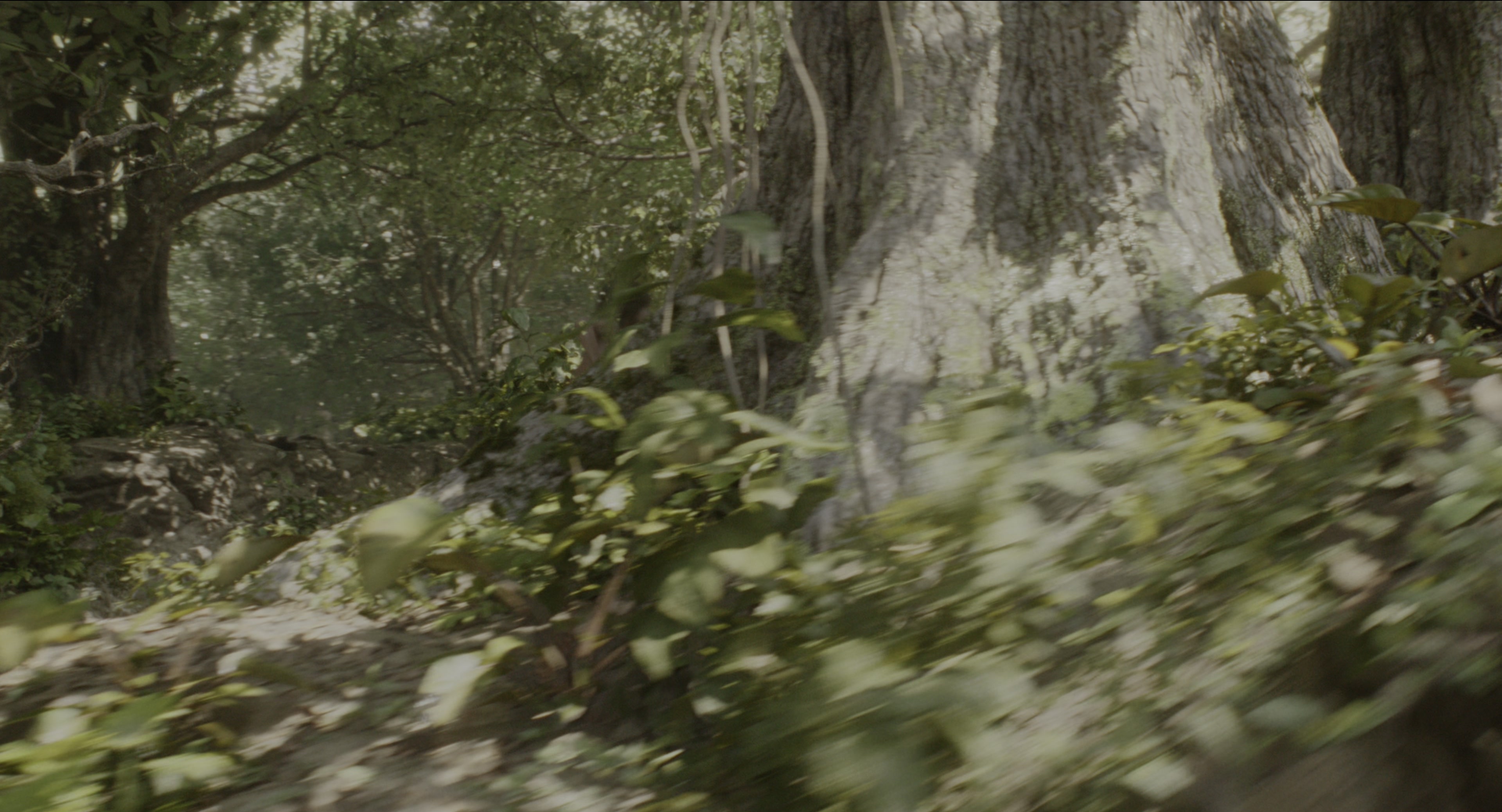 The Jungle Book (2016), wide, 1.85:1 — film still