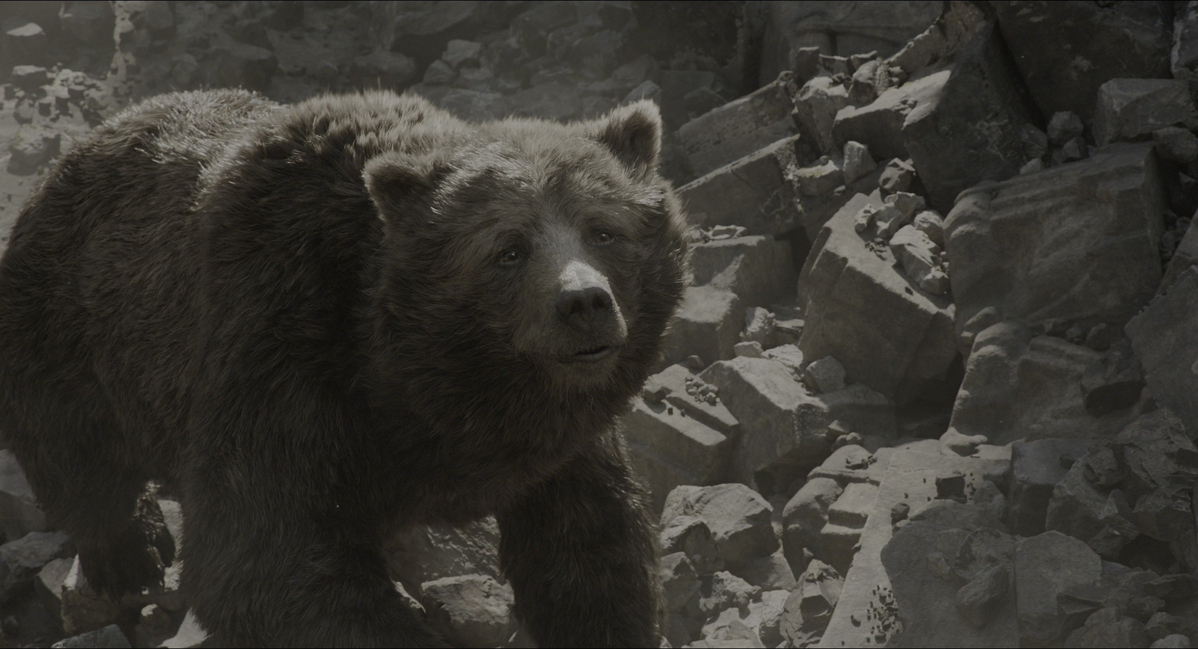 The Jungle Book (2016), wide, 1.85:1 — film still