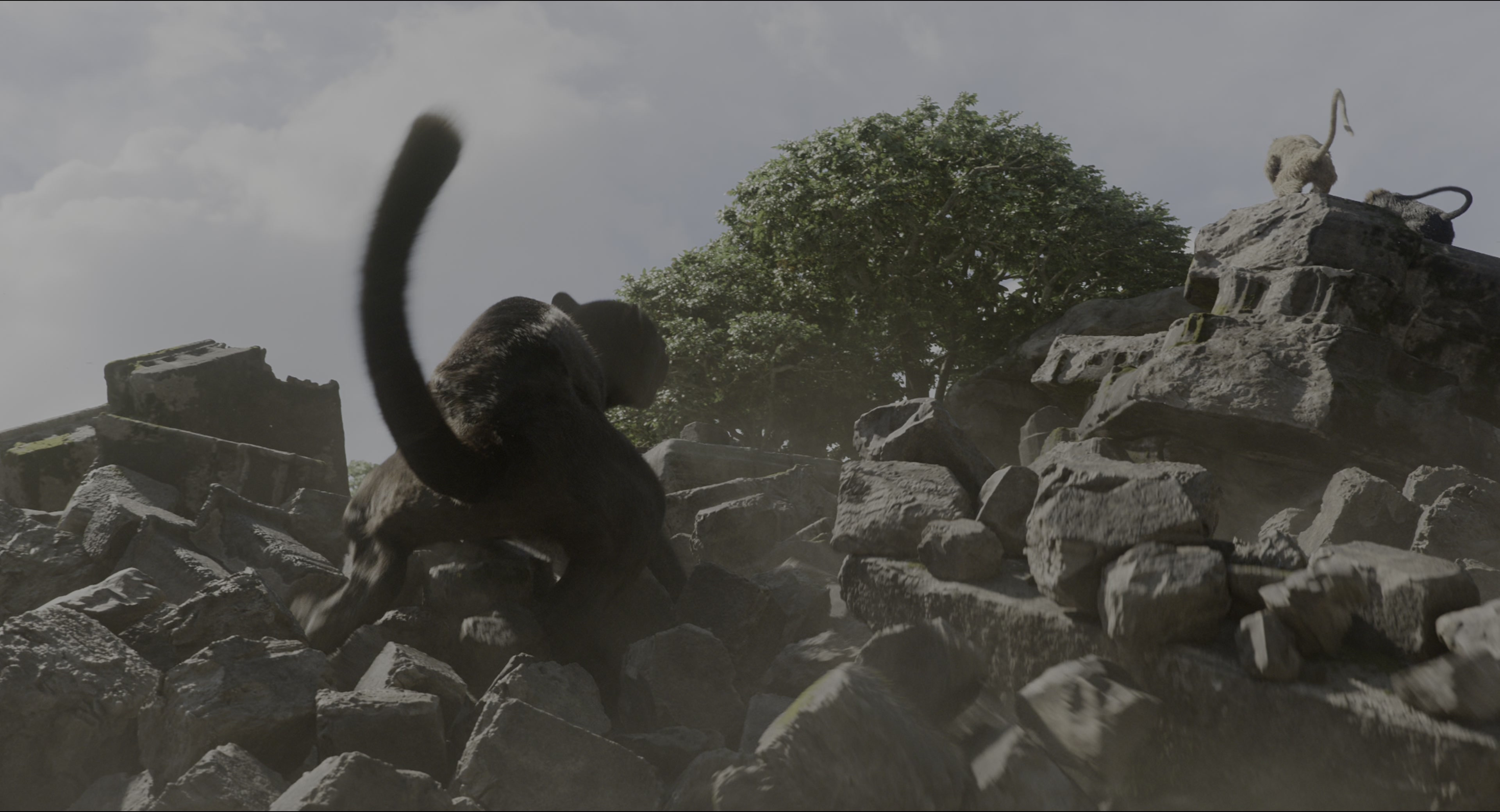 The Jungle Book (2016), wide, 1.85:1 — film still