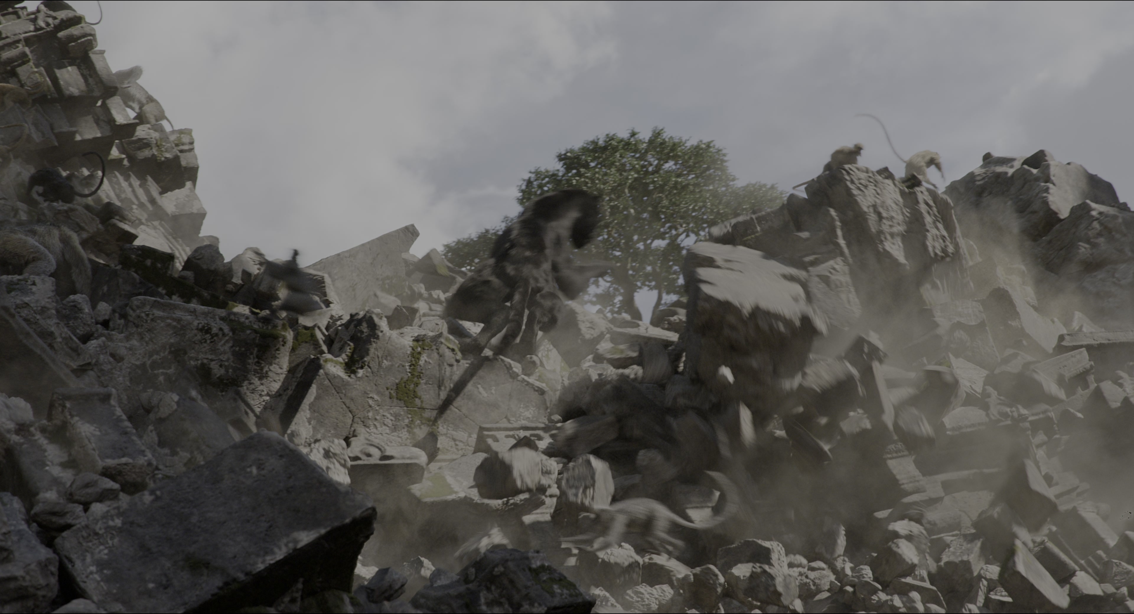 The Jungle Book (2016), wide, 1.85:1 — film still