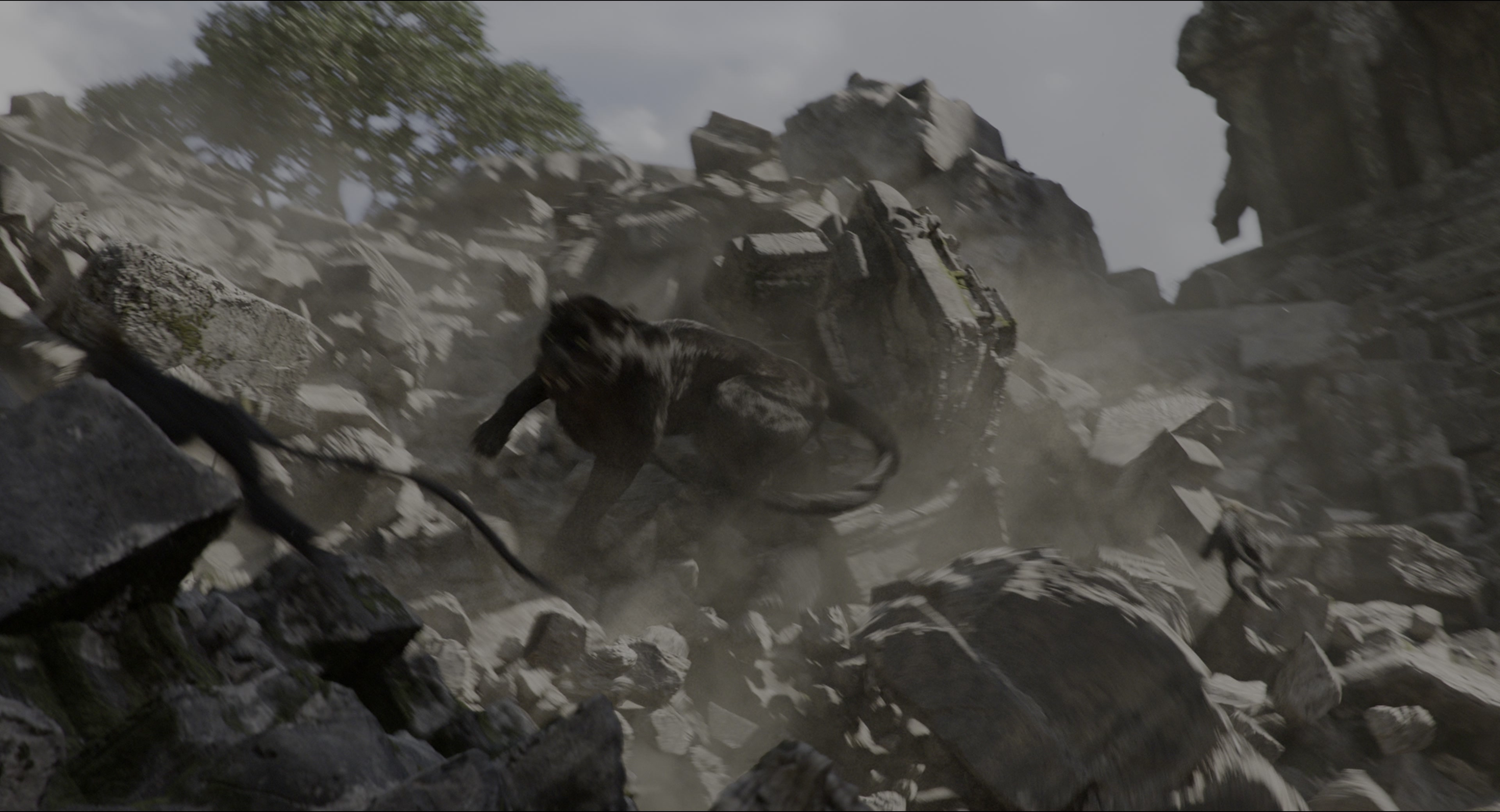 The Jungle Book (2016), wide, 1.85:1 — film still