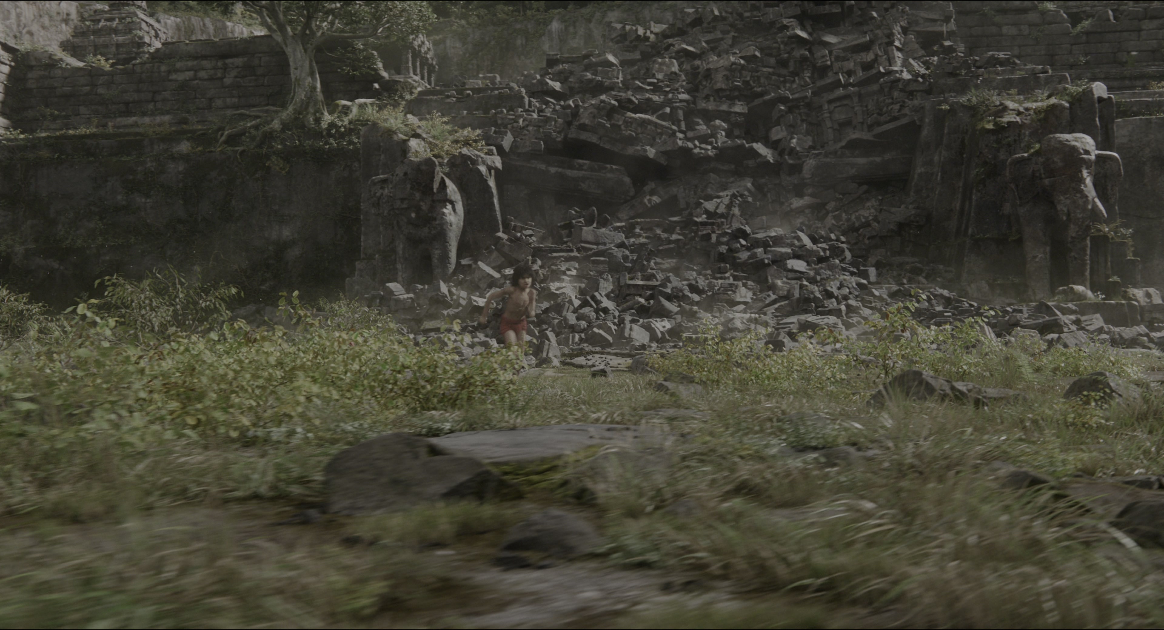 The Jungle Book (2016), wide, 1.85:1 — film still