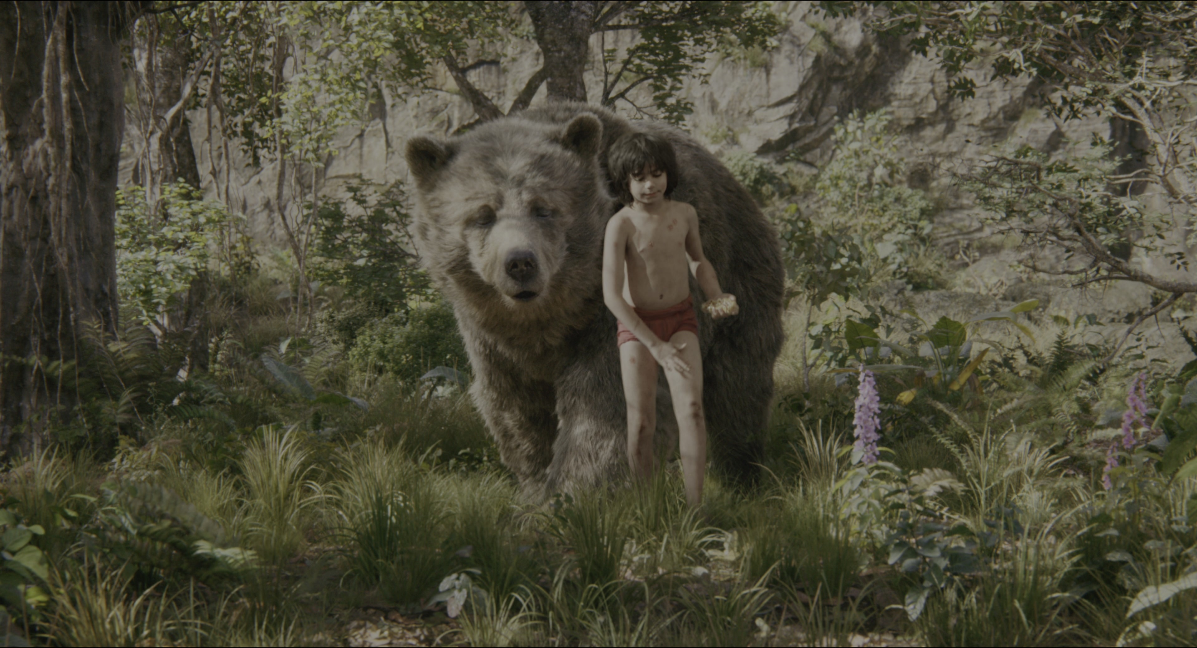 The Jungle Book (2016), wide, 1.85:1 — film still