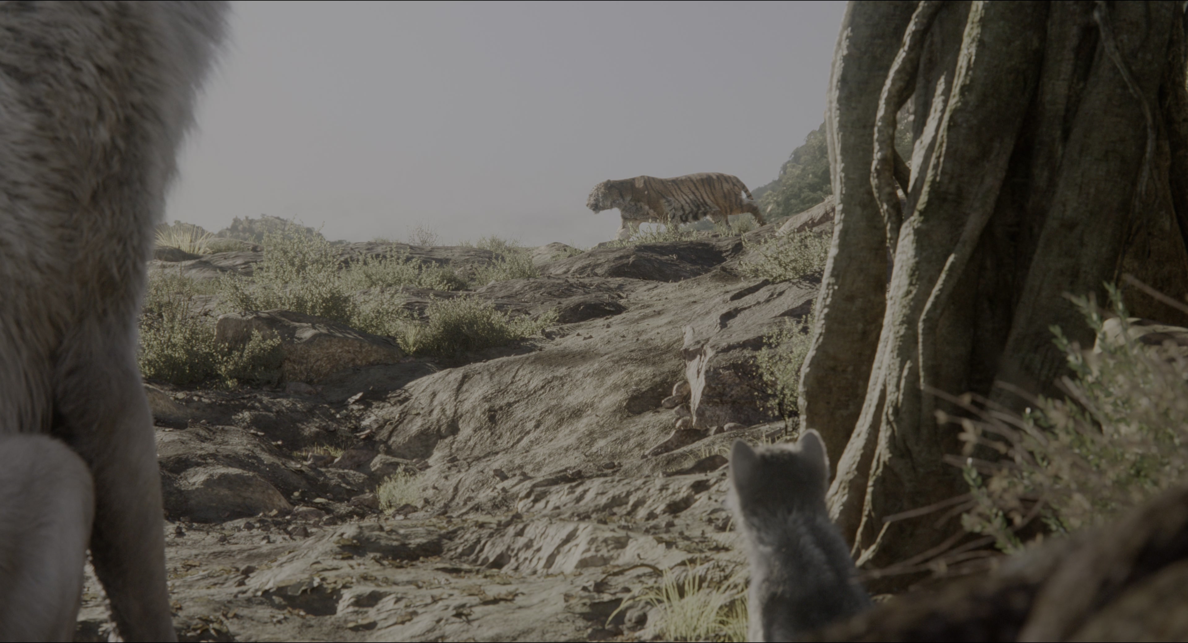 The Jungle Book (2016), wide, 1.85:1 — film still
