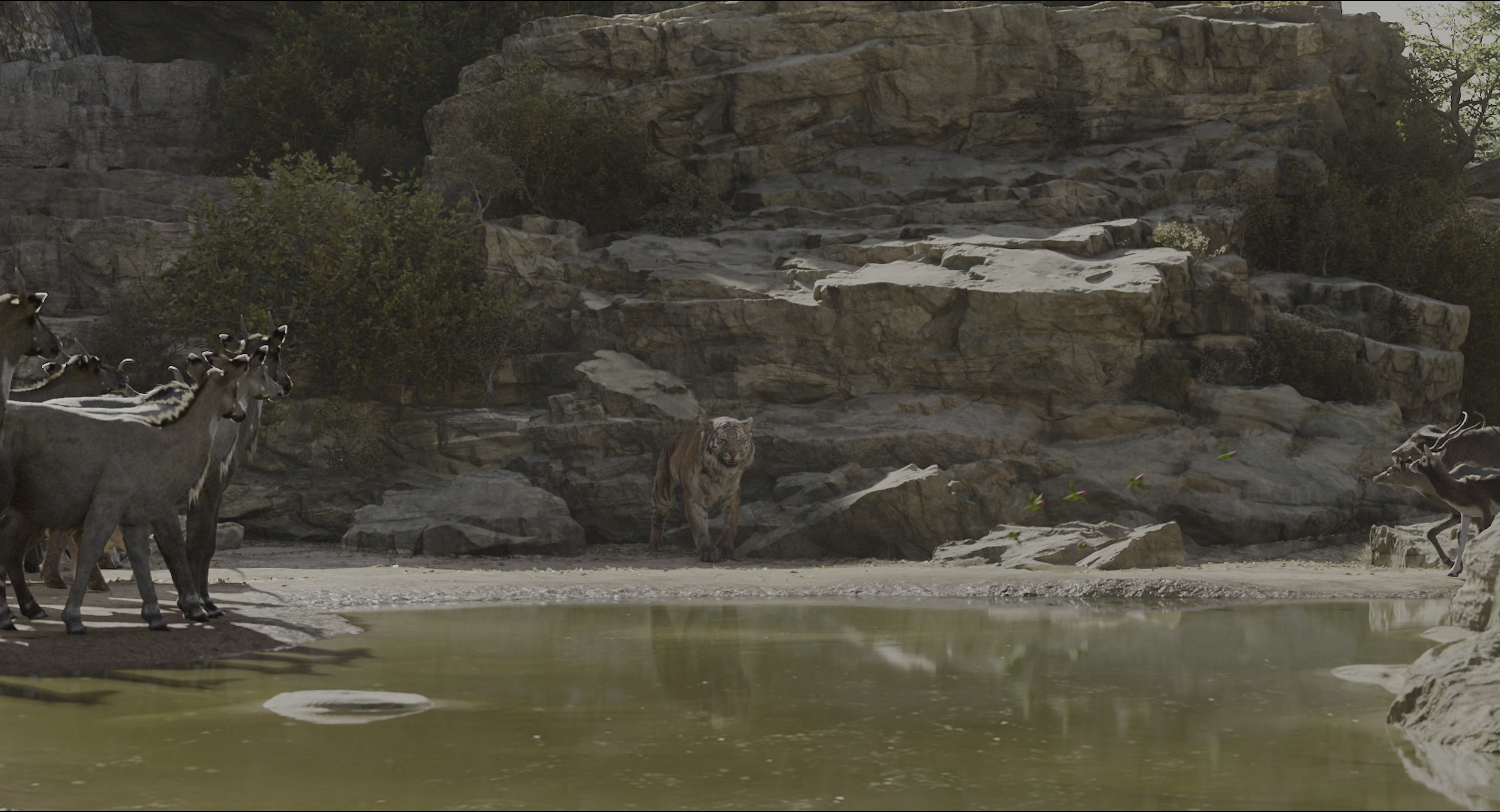 The Jungle Book (2016), wide, 1.85:1 — film still