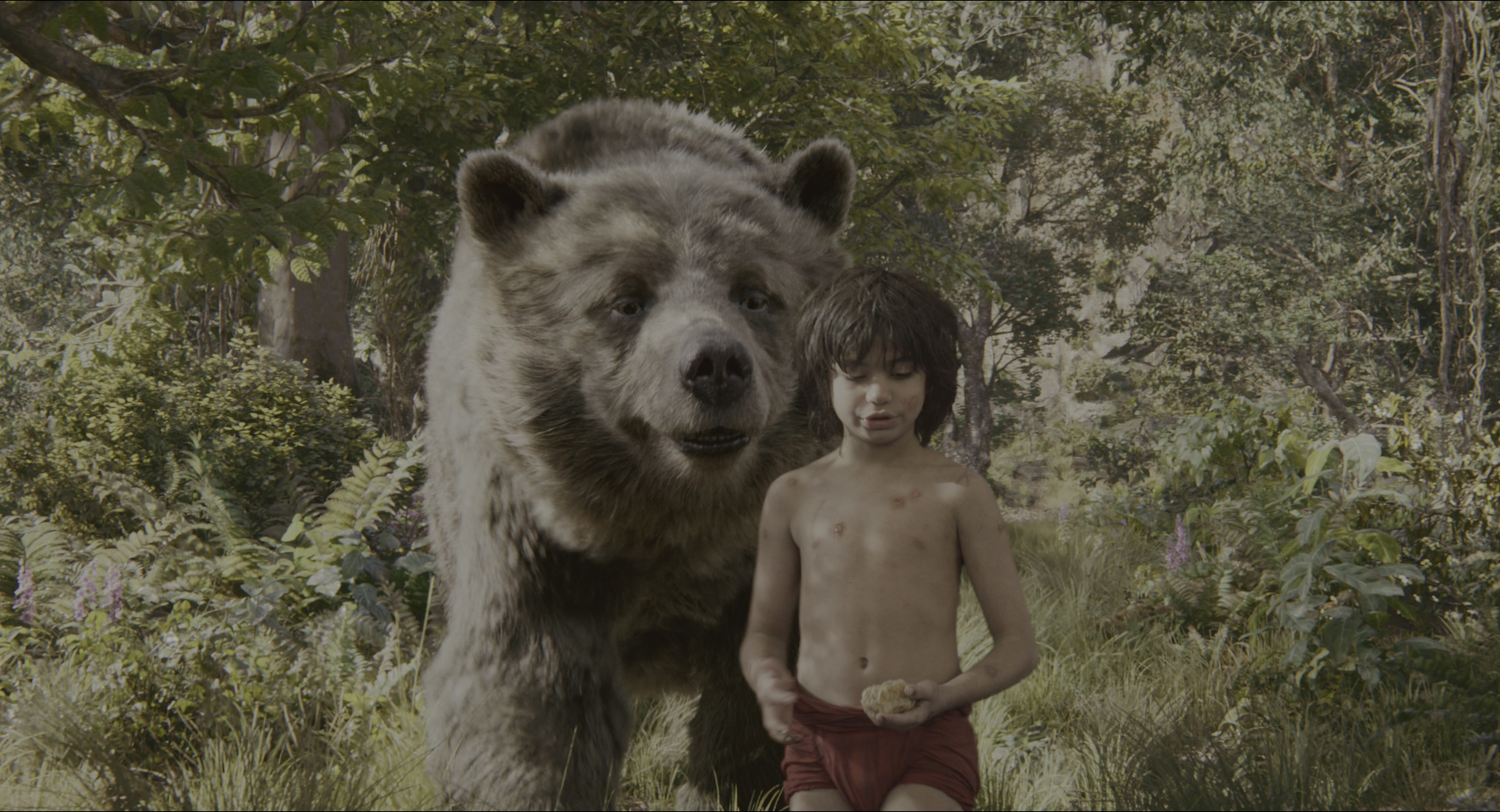 The Jungle Book (2016), wide, 1.85:1 — film still