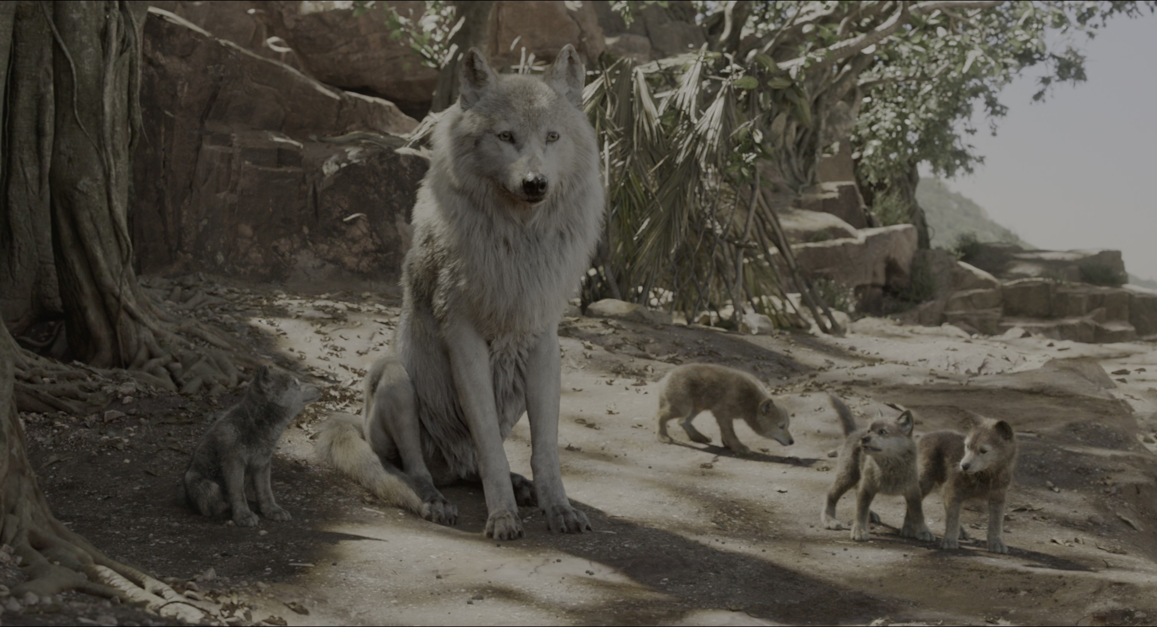 The Jungle Book (2016), wide, 1.85:1 — film still