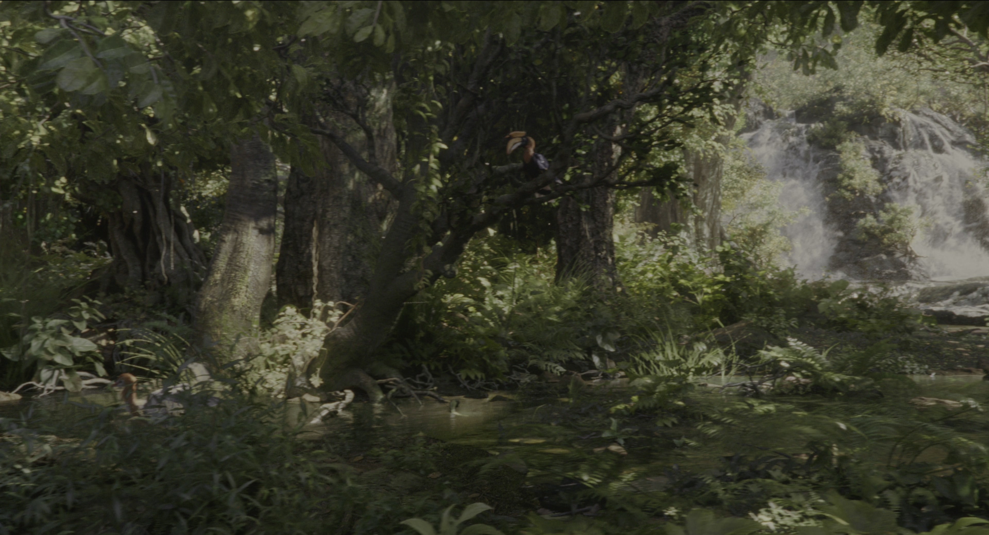 The Jungle Book (2016), wide, 1.85:1 — film still