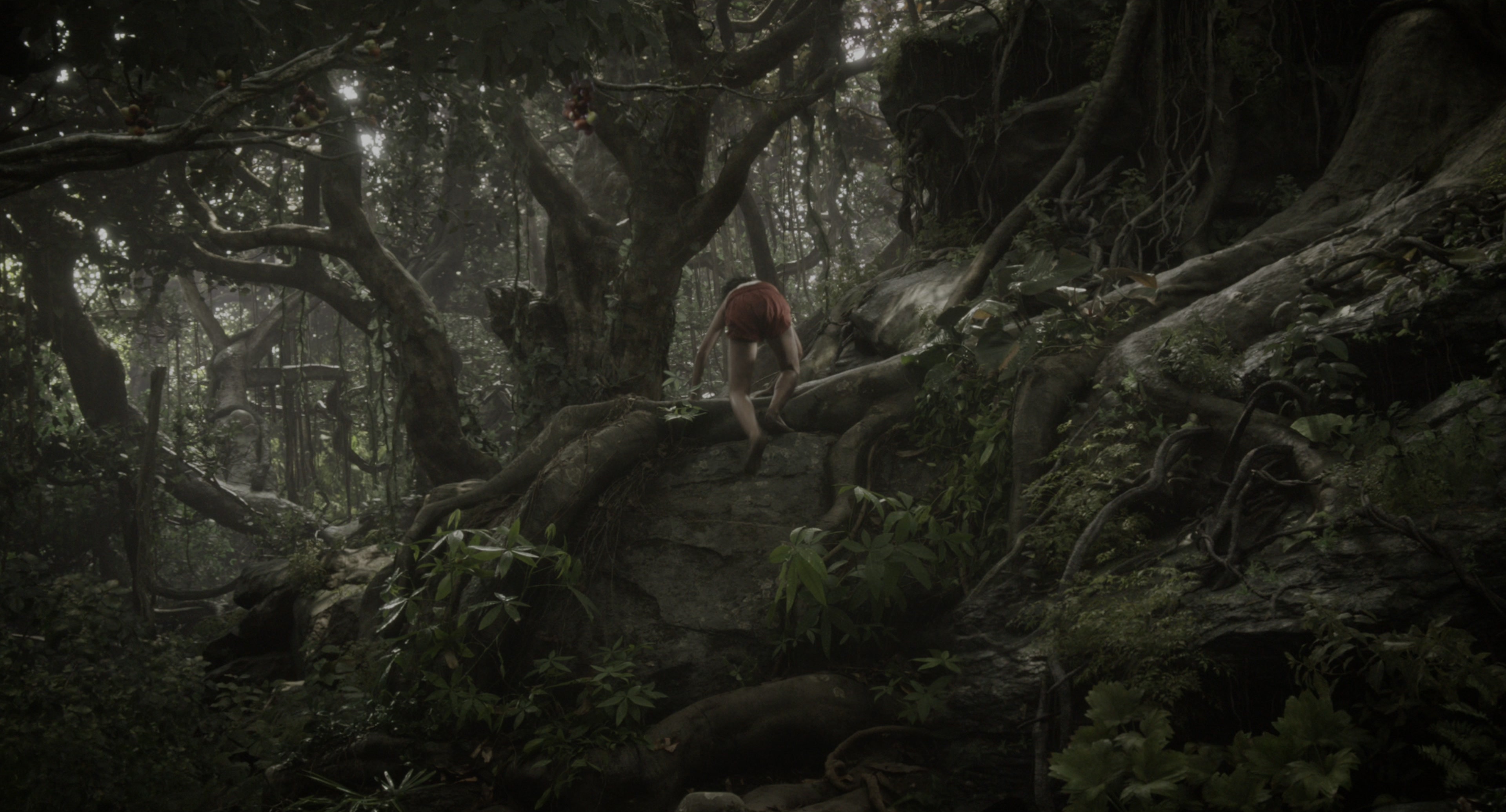 The Jungle Book (2016), wide, 1.85:1 — film still