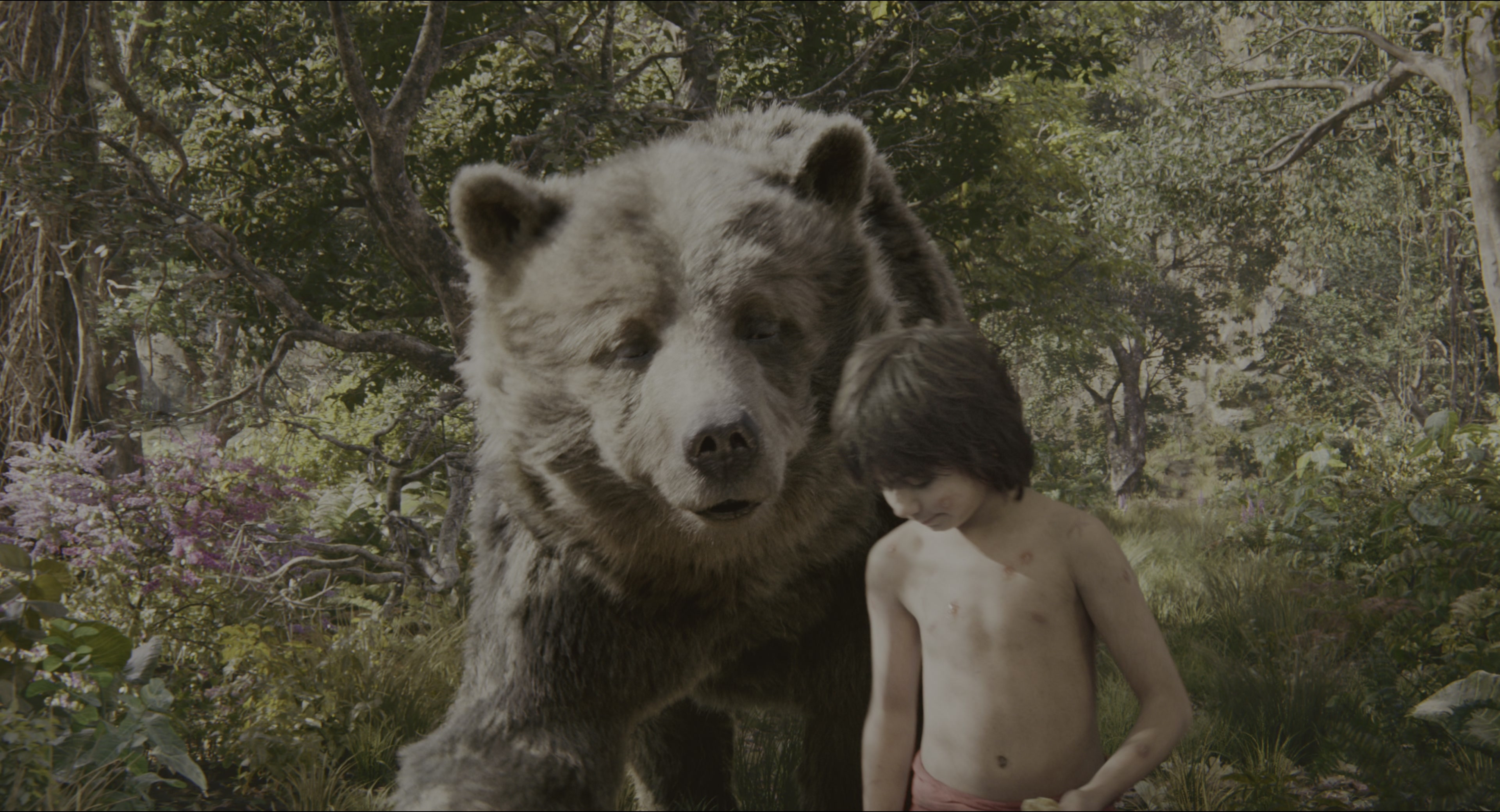 The Jungle Book (2016), wide, 1.85:1 — film still