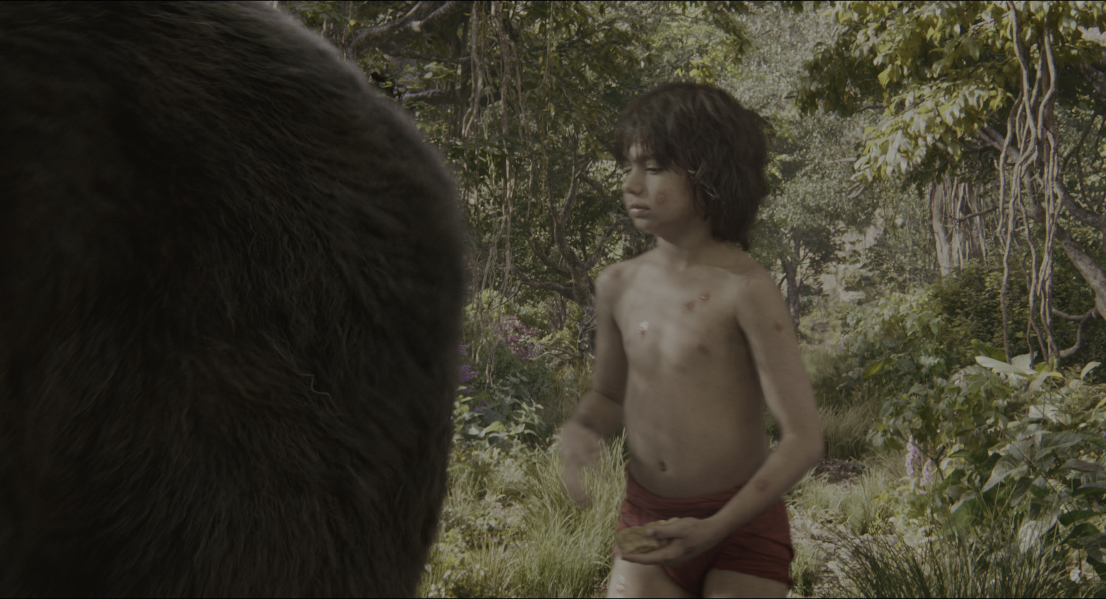 The Jungle Book (2016), wide, 1.85:1 — film still