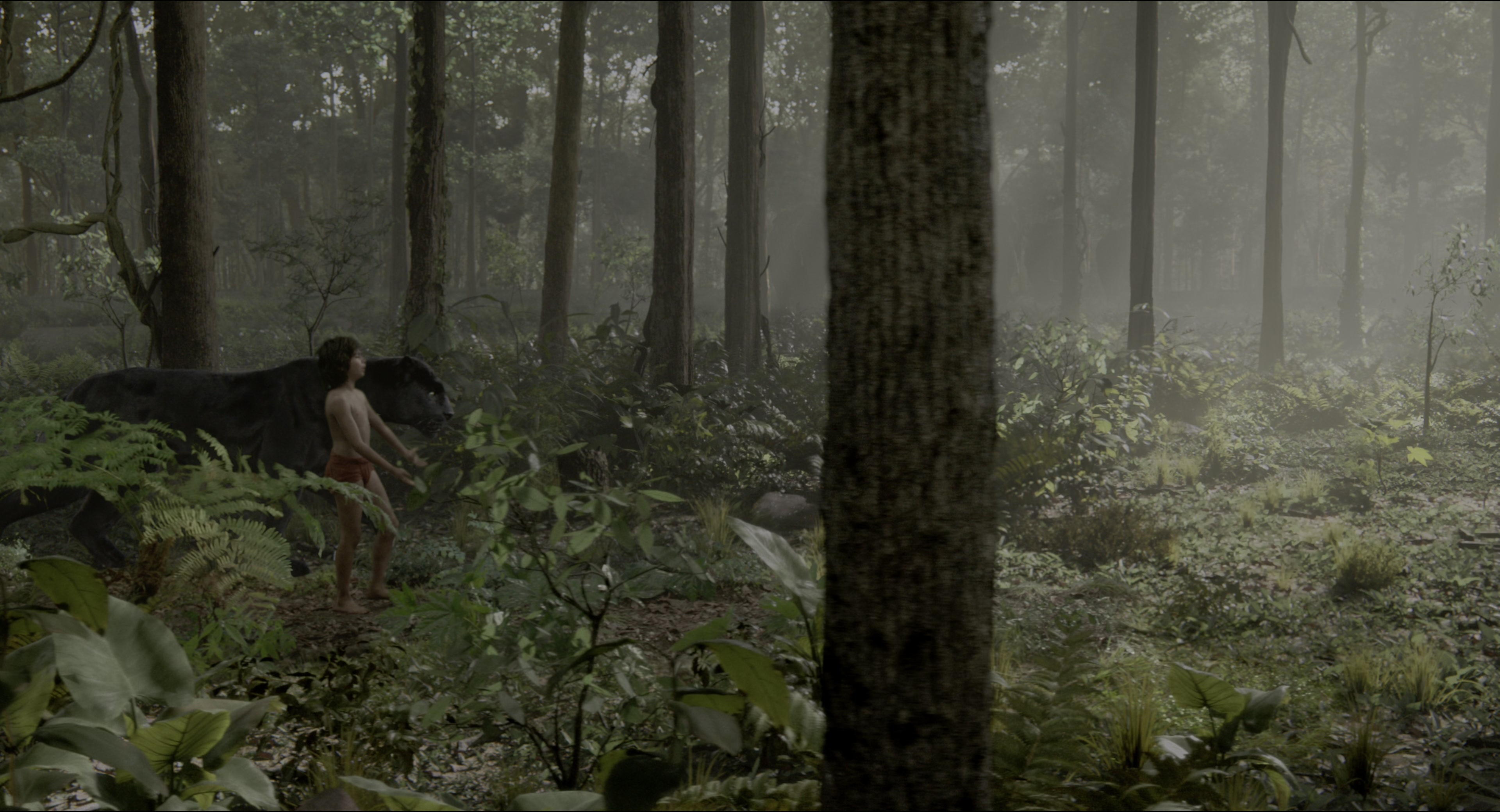 The Jungle Book (2016), wide, 1.85:1 — film still