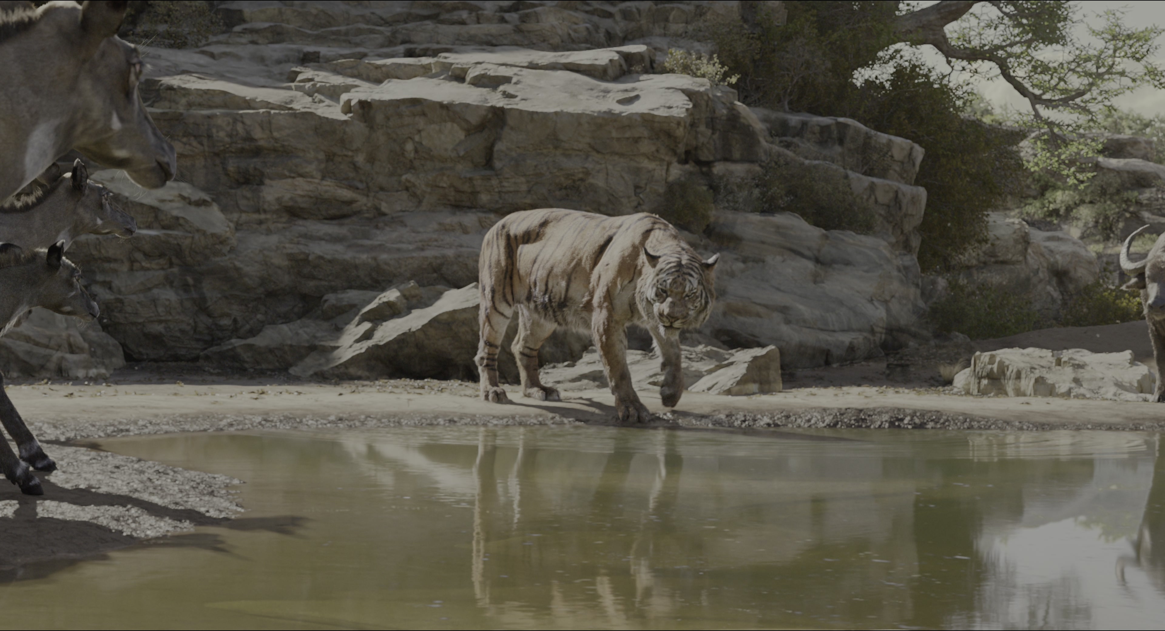 The Jungle Book (2016), wide, 1.85:1 — film still