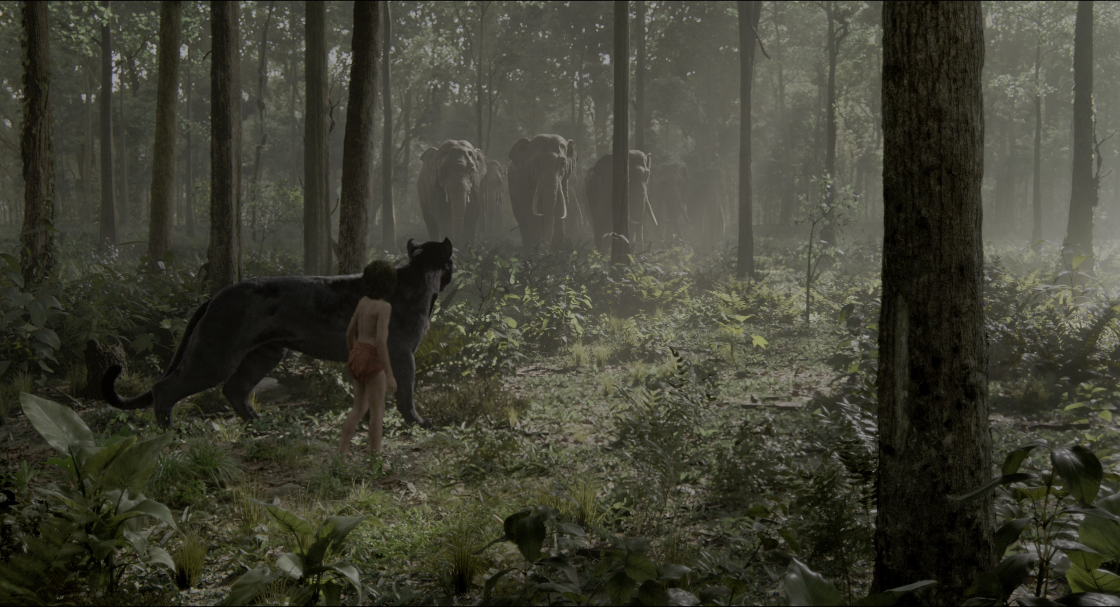 The Jungle Book (2016), wide, 1.85:1 — film still