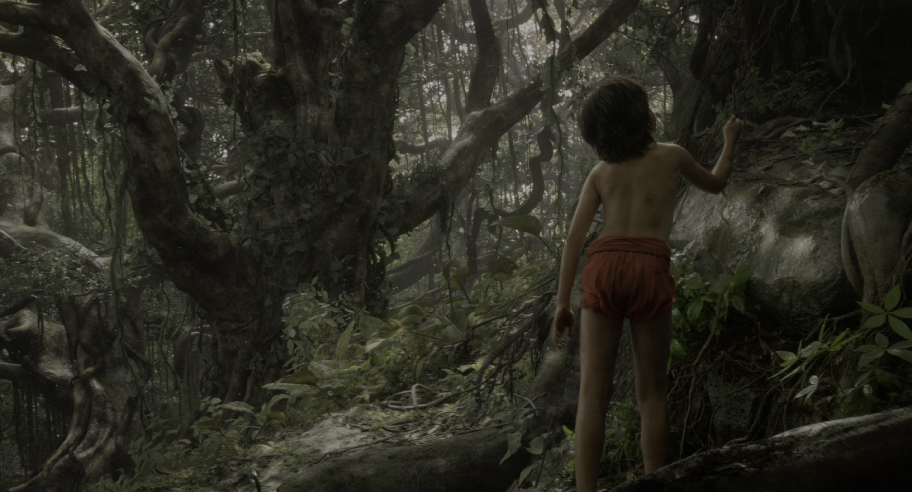 The Jungle Book (2016), wide, 1.85:1 — film still