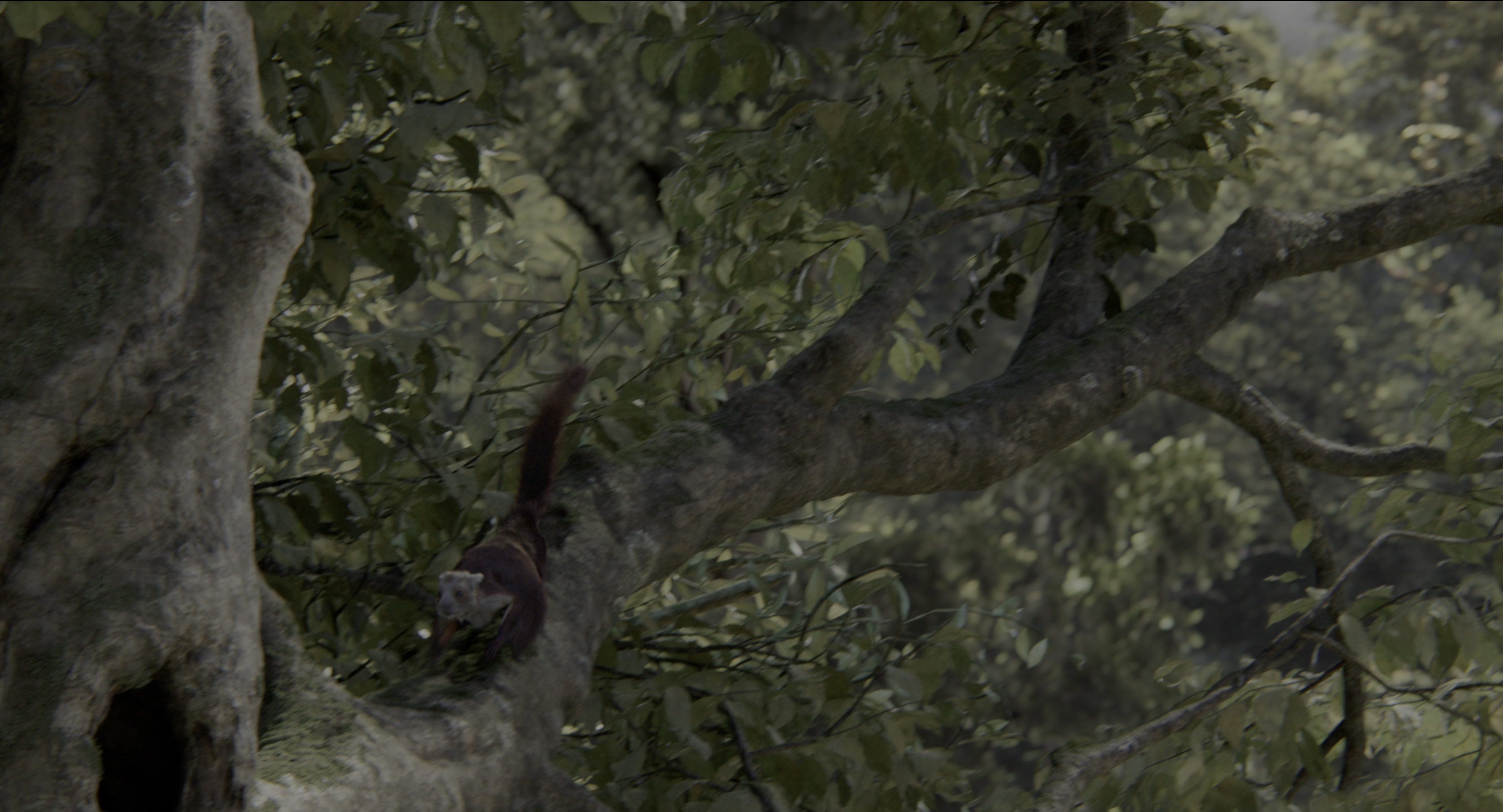 The Jungle Book (2016), wide, 1.85:1 — film still