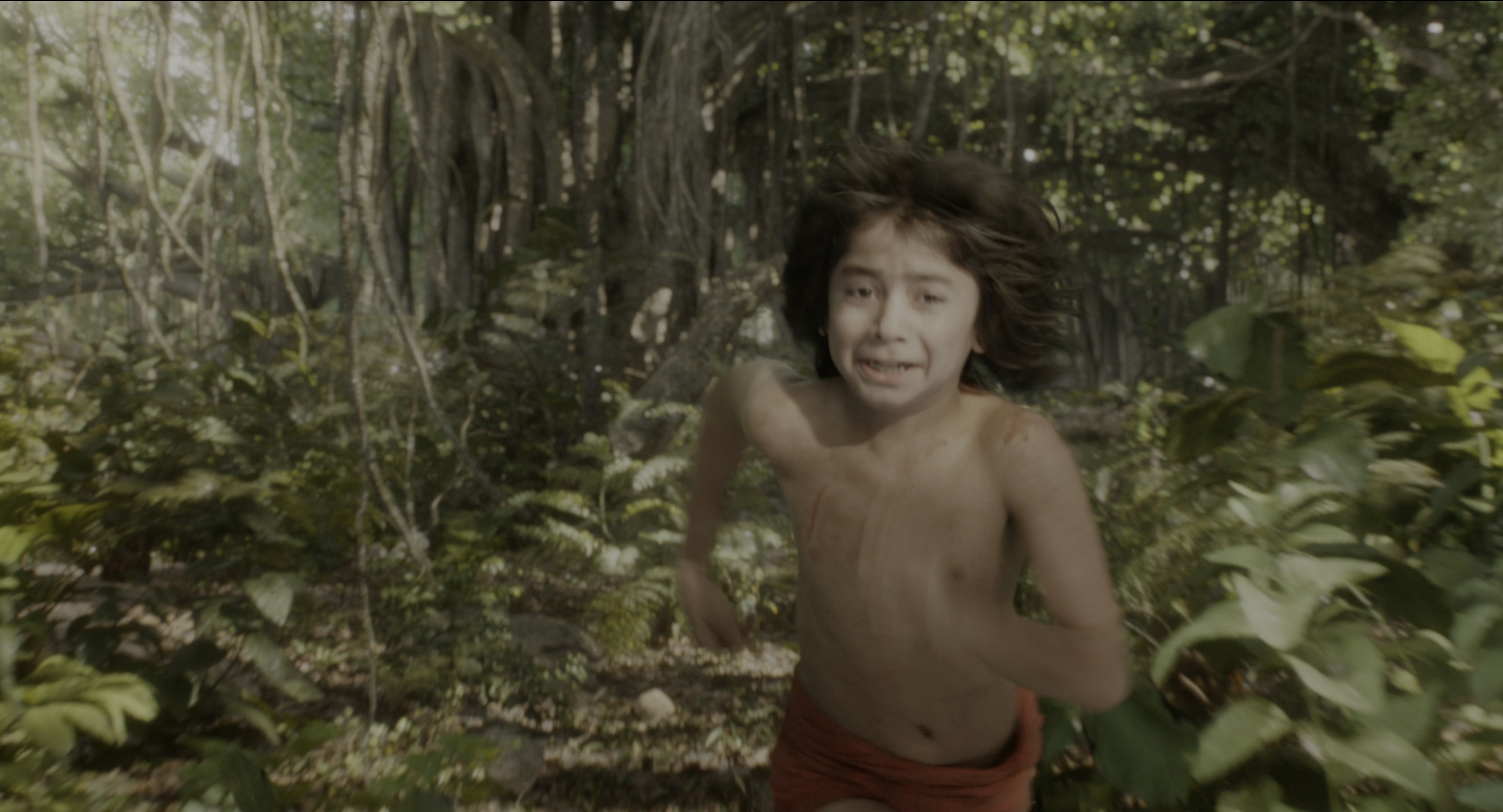 The Jungle Book (2016), wide, 1.85:1 — film still