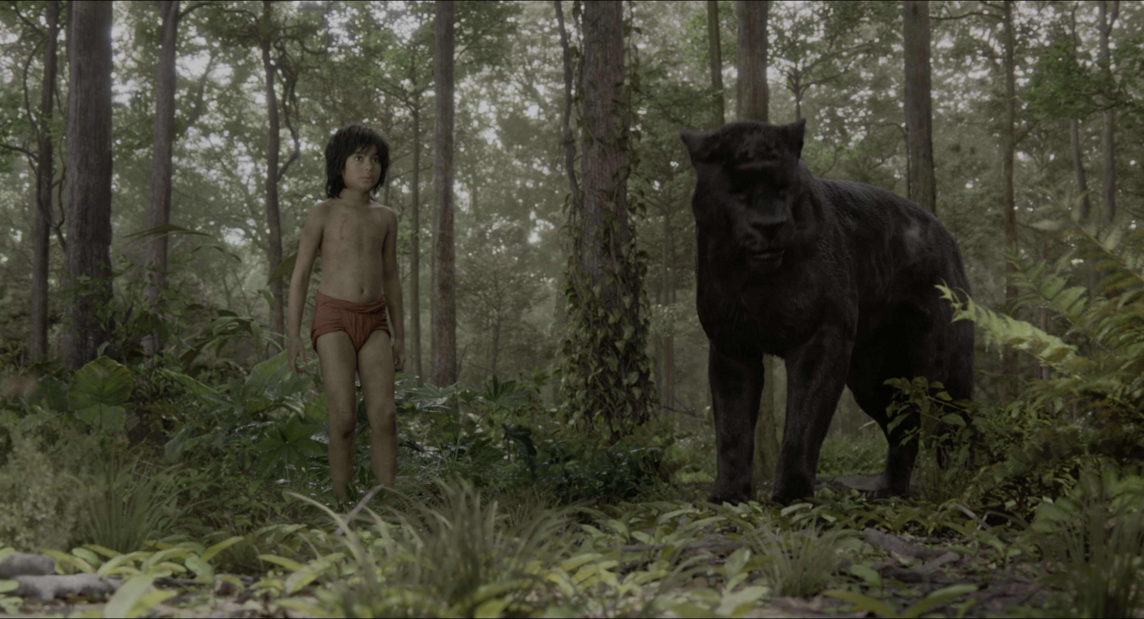 The Jungle Book (2016), wide, 1.85:1 — film still