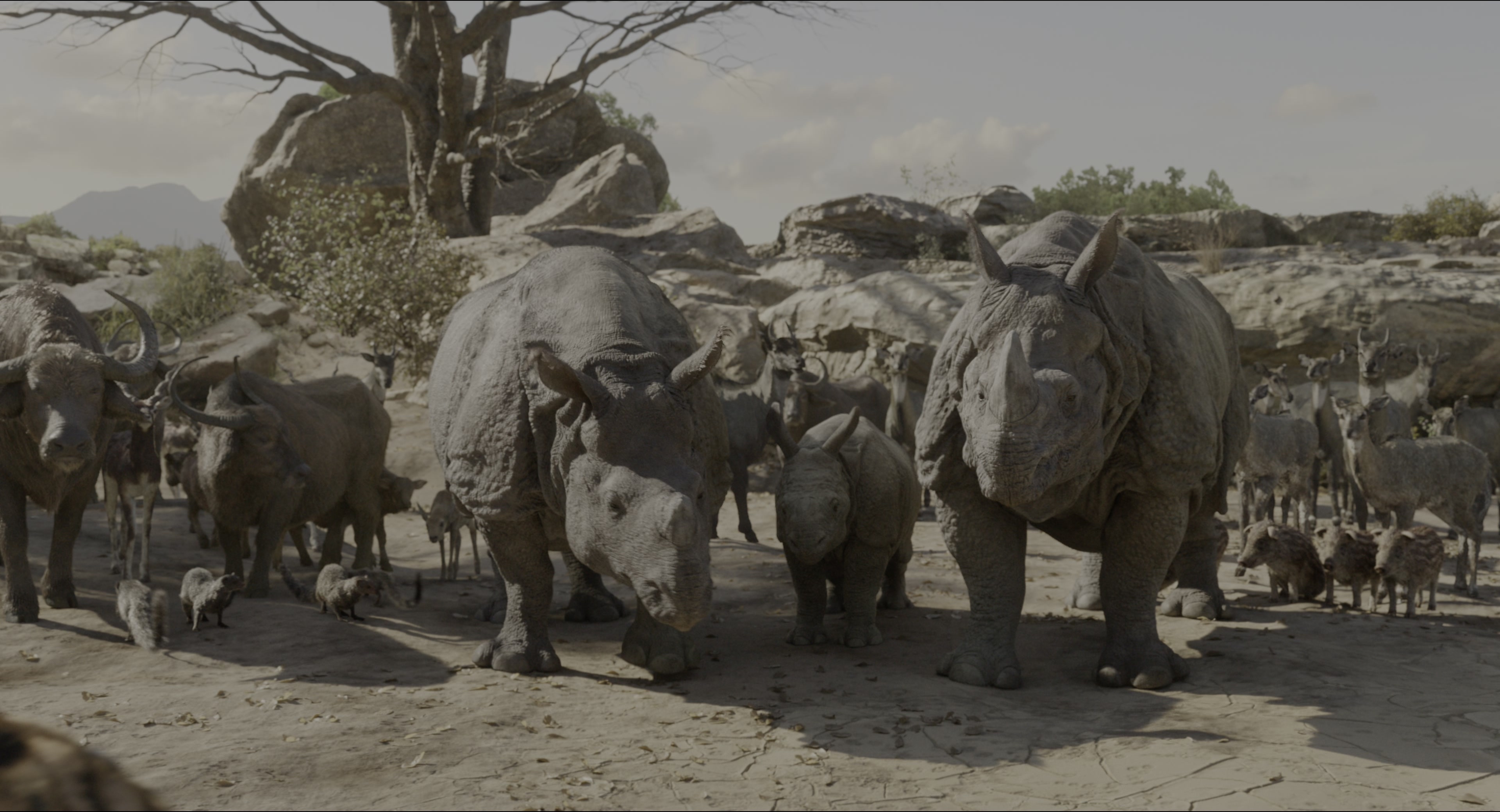 The Jungle Book (2016), wide, 1.85:1 — film still