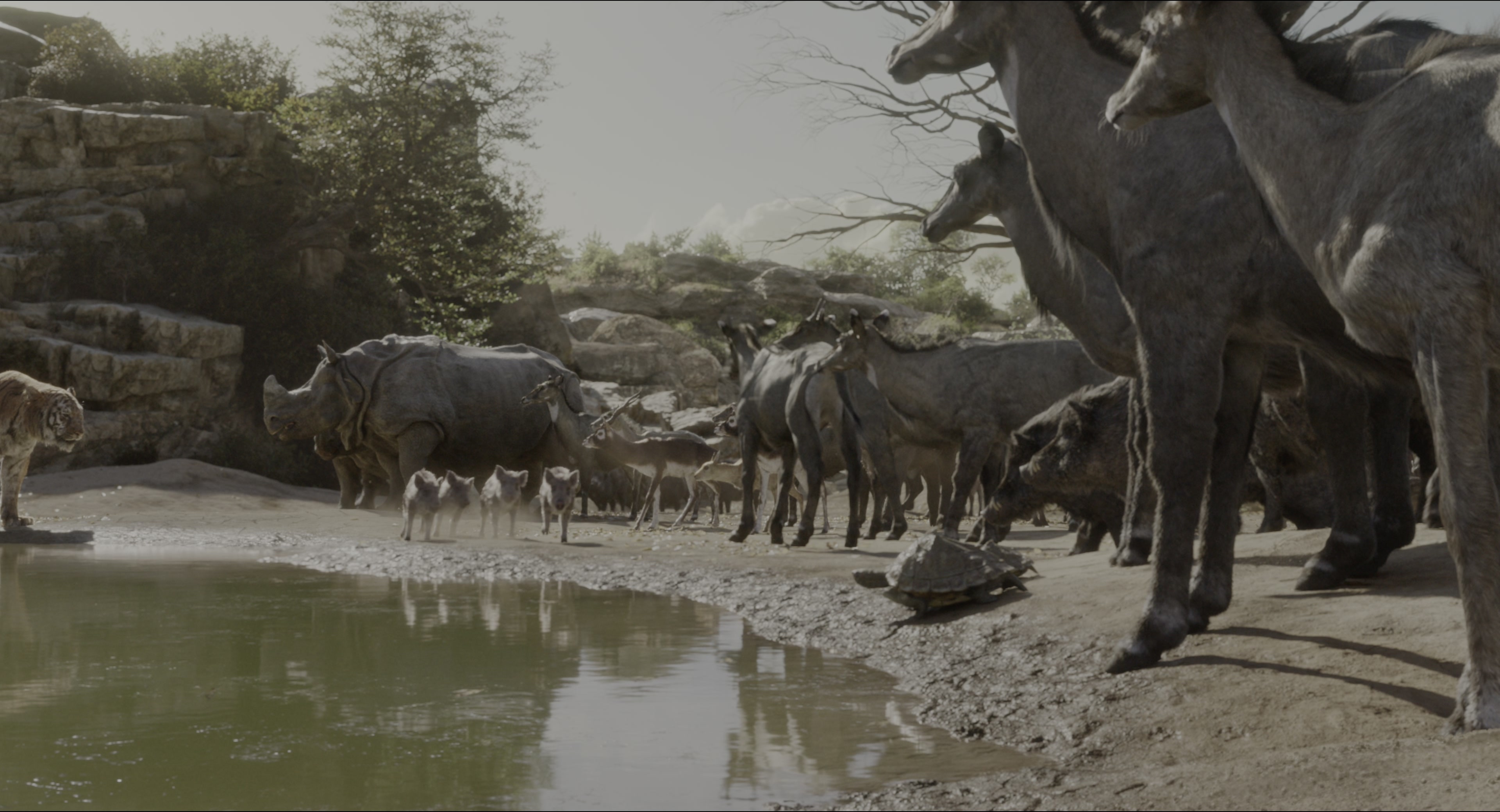 The Jungle Book (2016), wide, 1.85:1 — film still