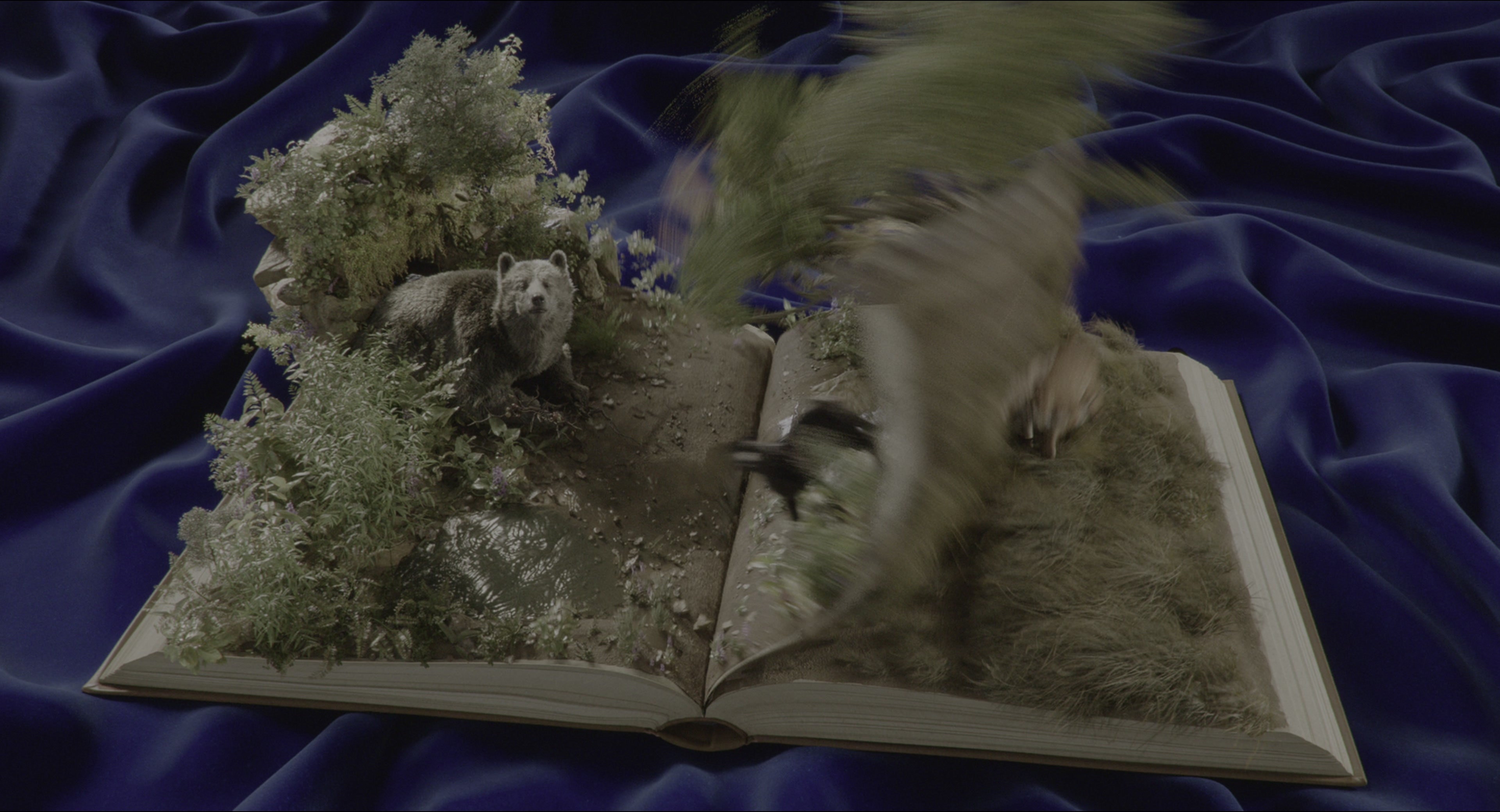 The Jungle Book (2016), wide, 1.85:1 — film still