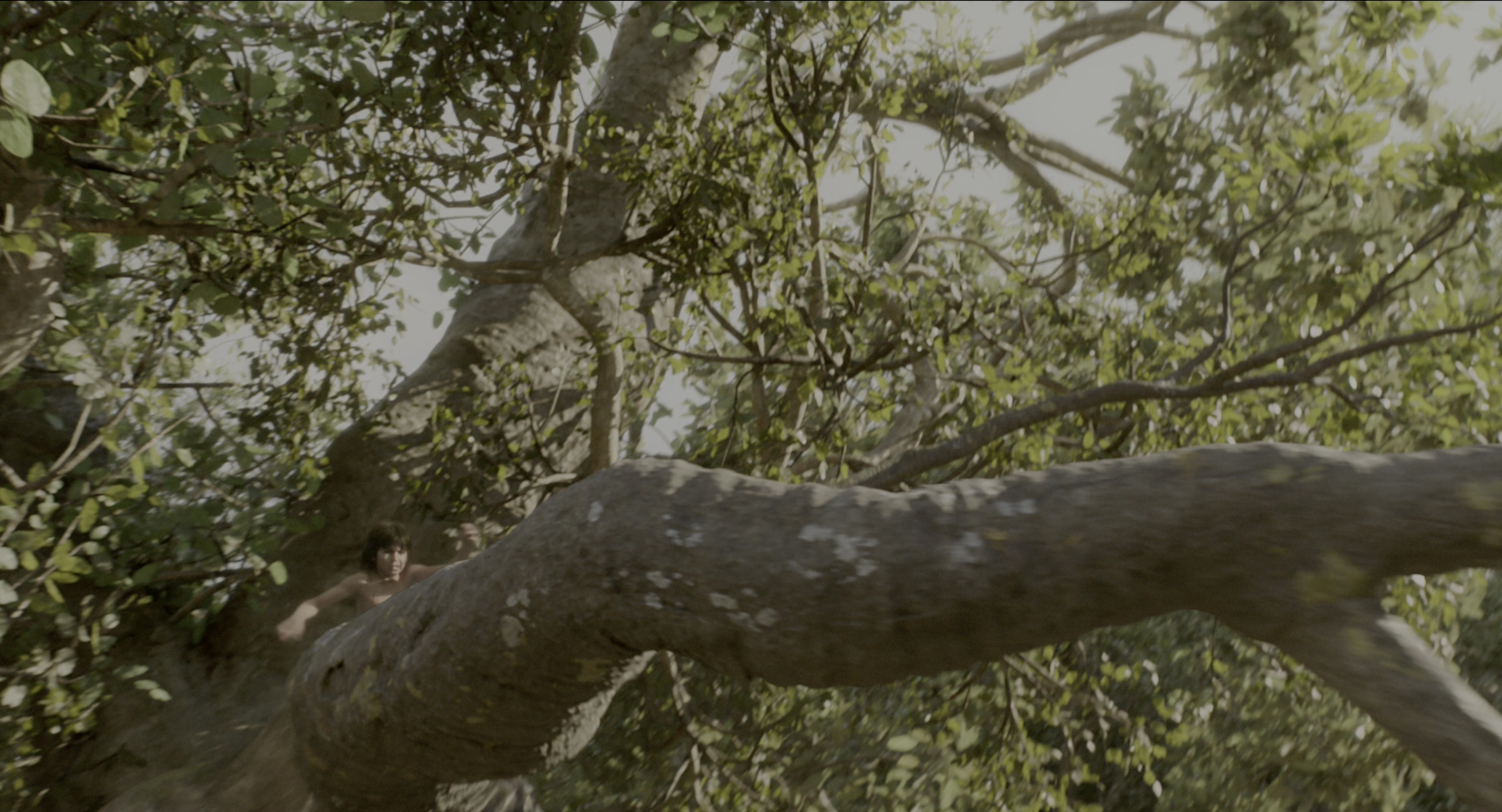 The Jungle Book (2016), wide, 1.85:1 — film still