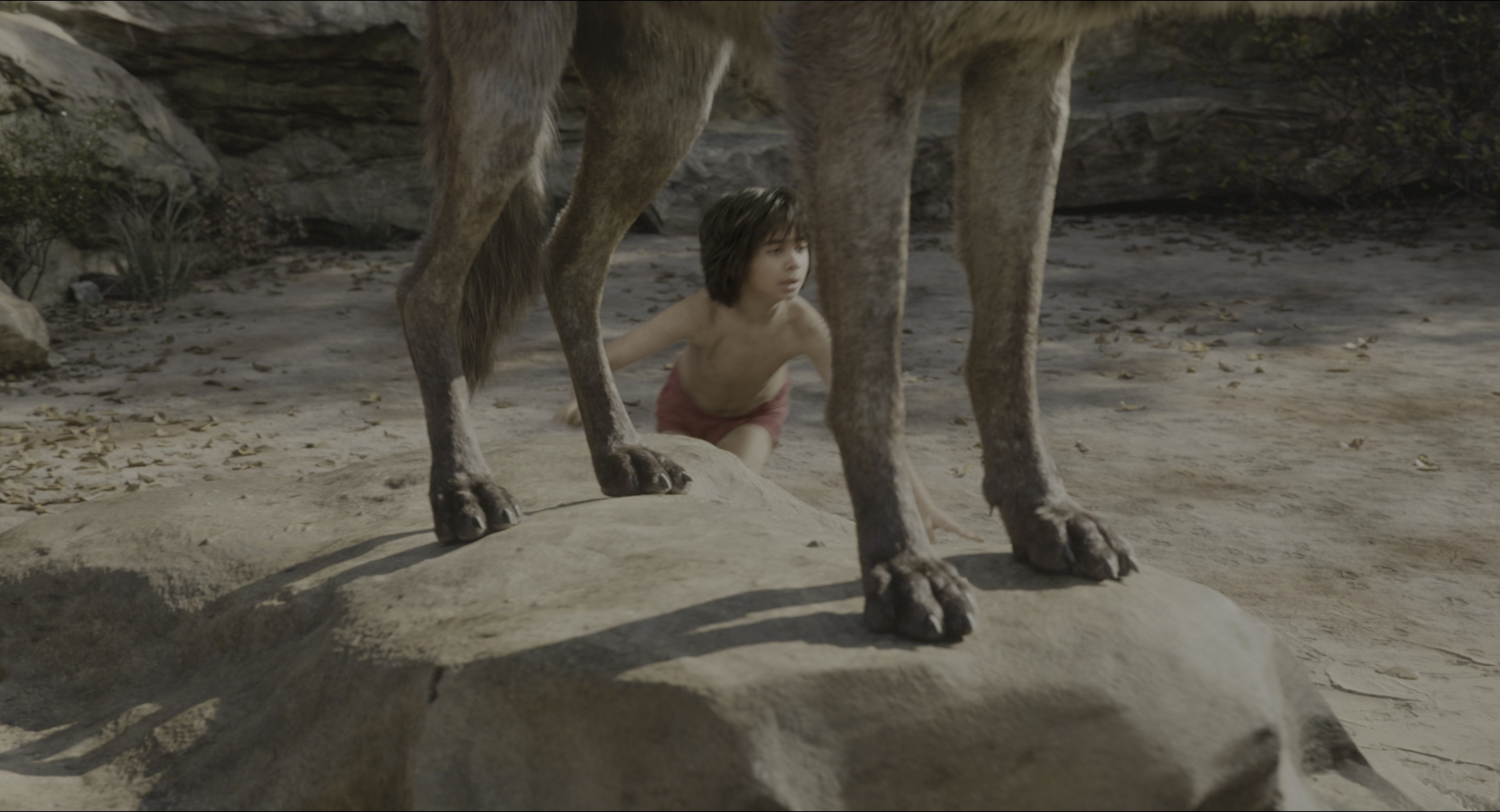 The Jungle Book (2016), wide, 1.85:1 — film still